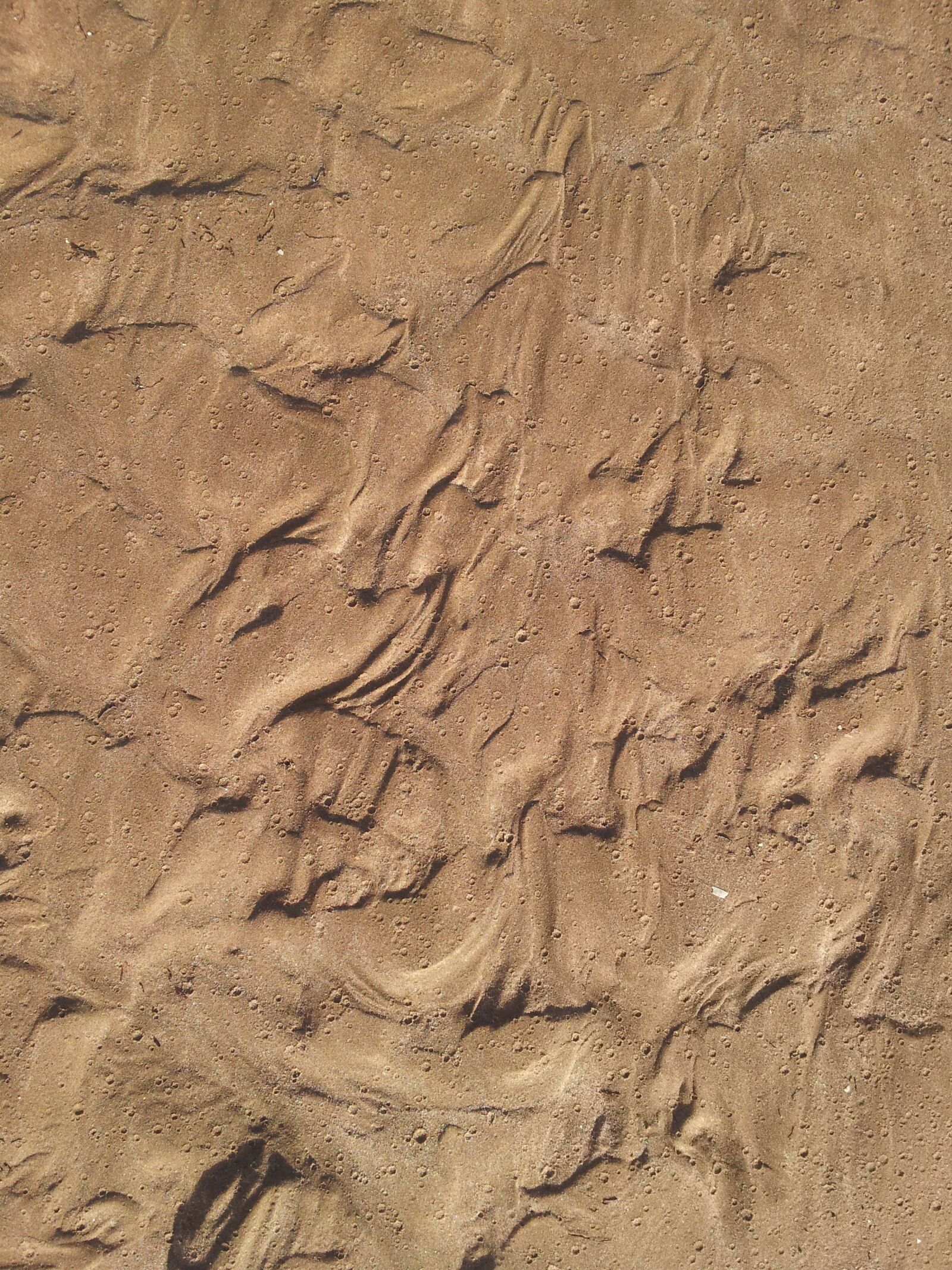 Samsung Galaxy S2 sample photo. Texture, sand, beach photography
