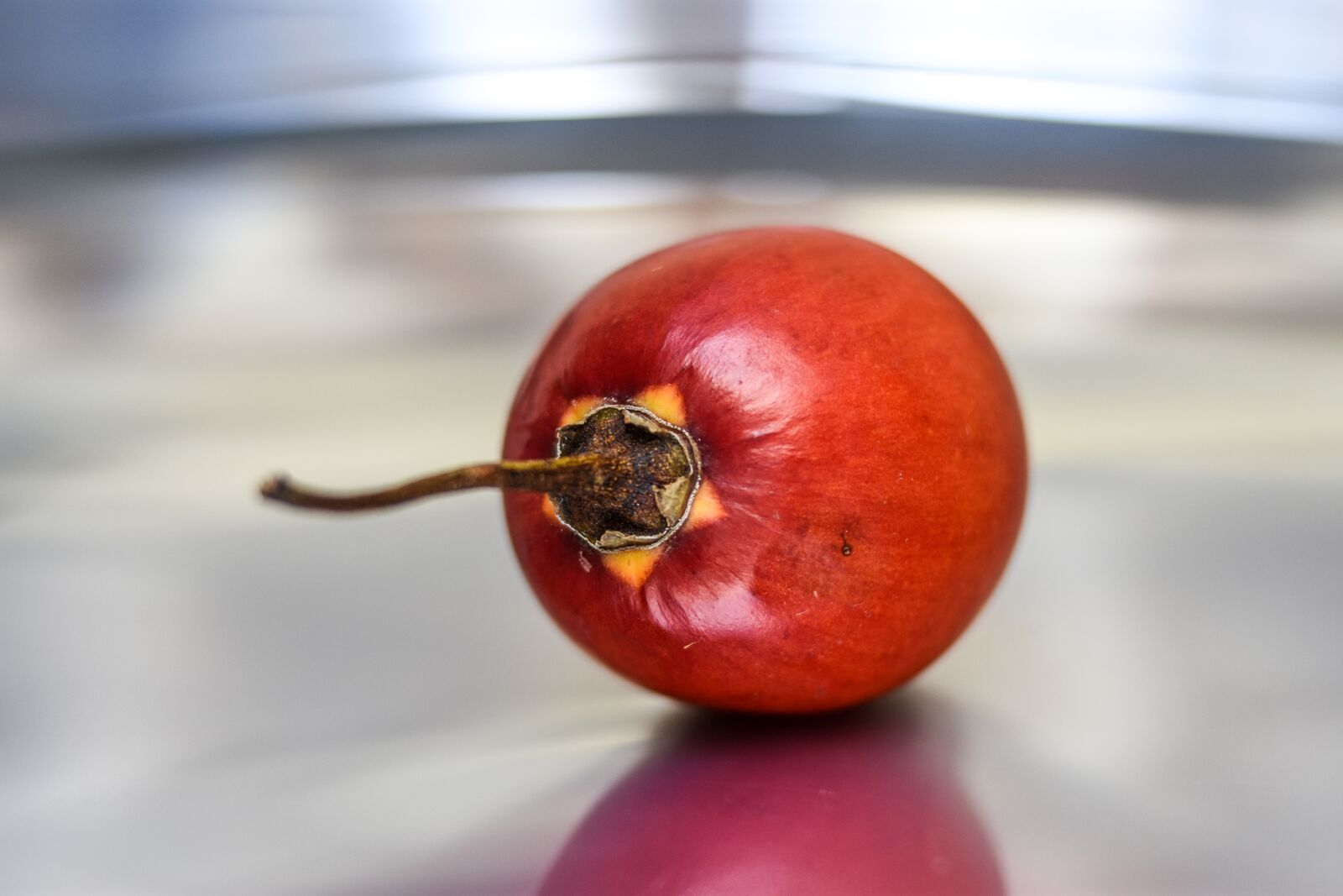 Nikon D3400 sample photo. Tomato, fruit, healthy photography