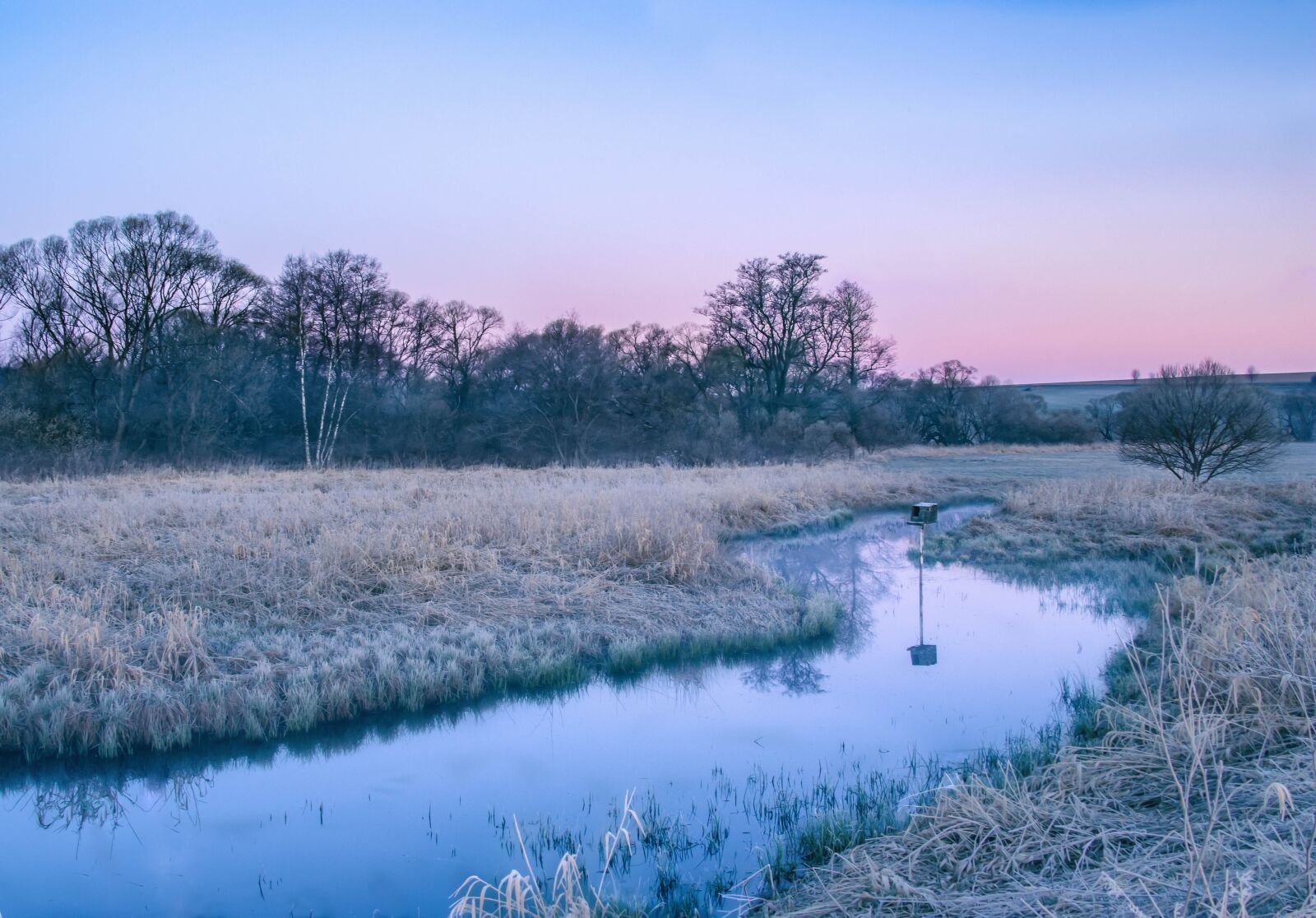 Canon EF-S 18-135mm F3.5-5.6 IS USM sample photo. Dawn, frost, cold photography