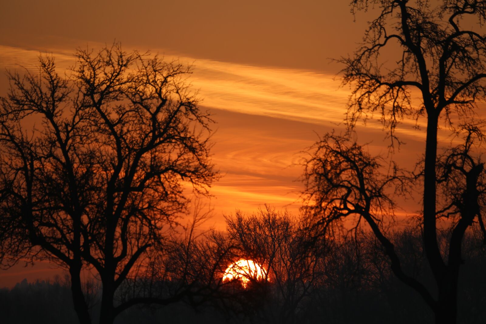 Canon EF 100-400mm F4.5-5.6L IS USM sample photo. Sunset, night crane, sky photography