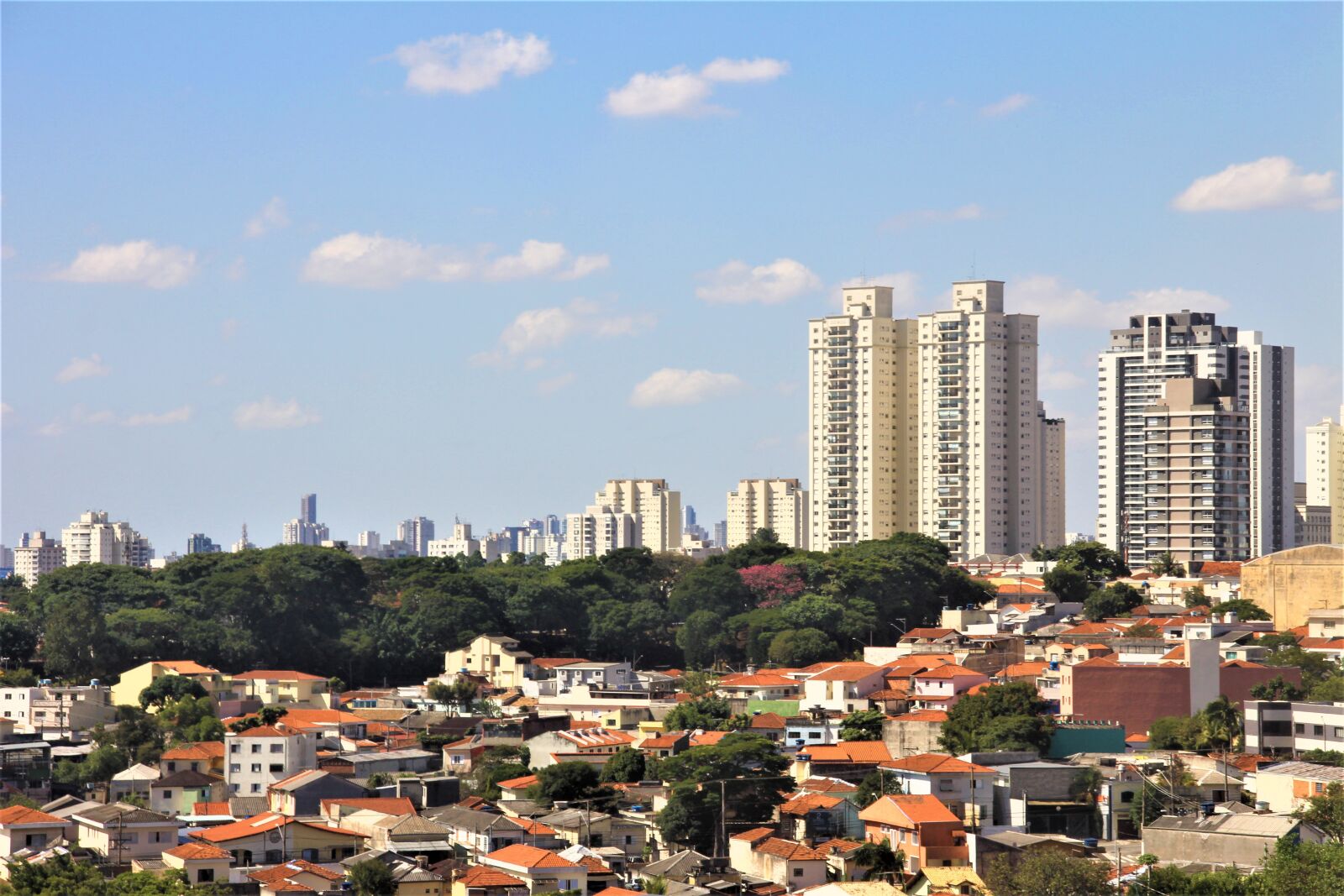 Canon EOS 60D sample photo. S o paulo, brazil photography
