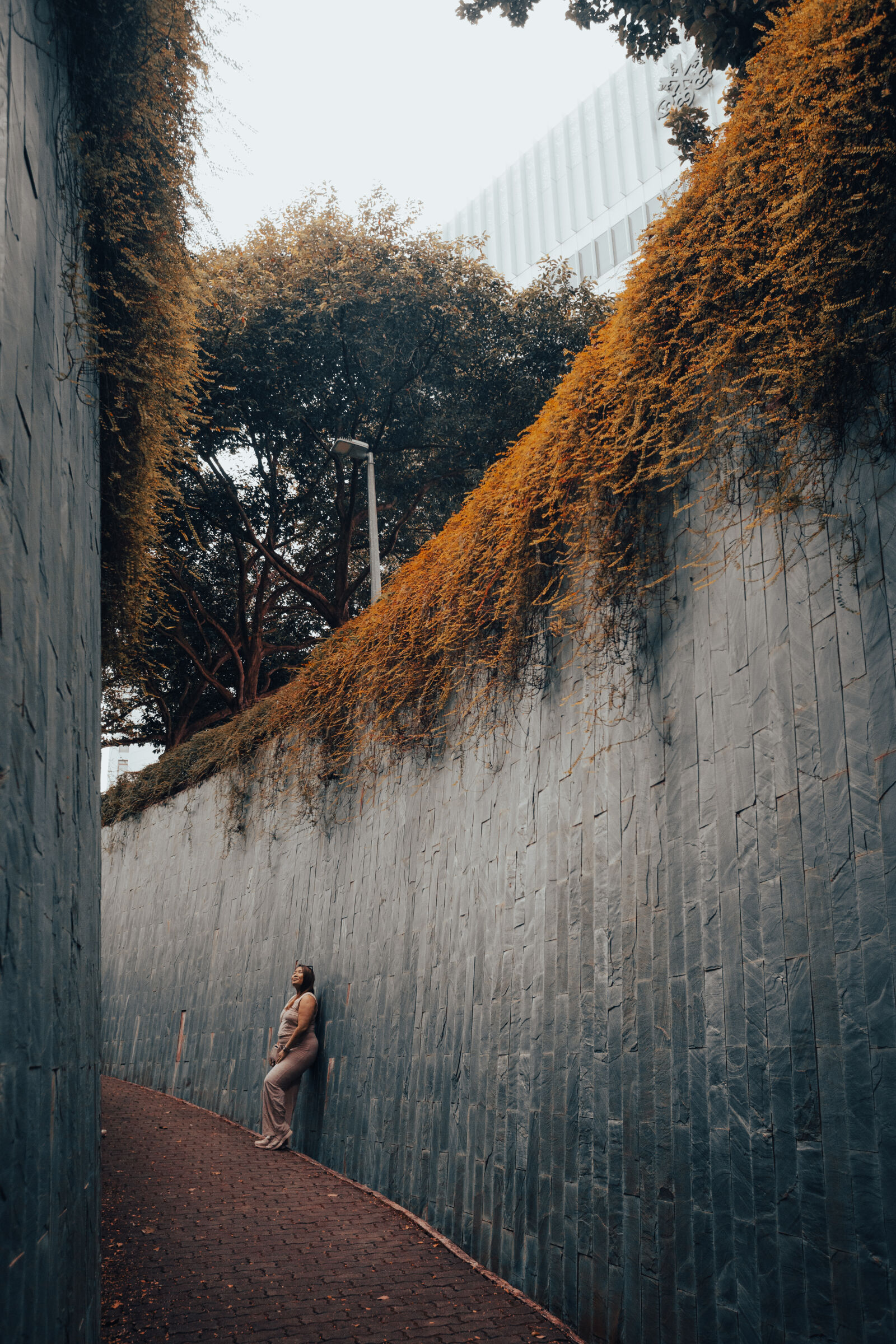 Canon EOS RP sample photo. Underpass - civic district photography