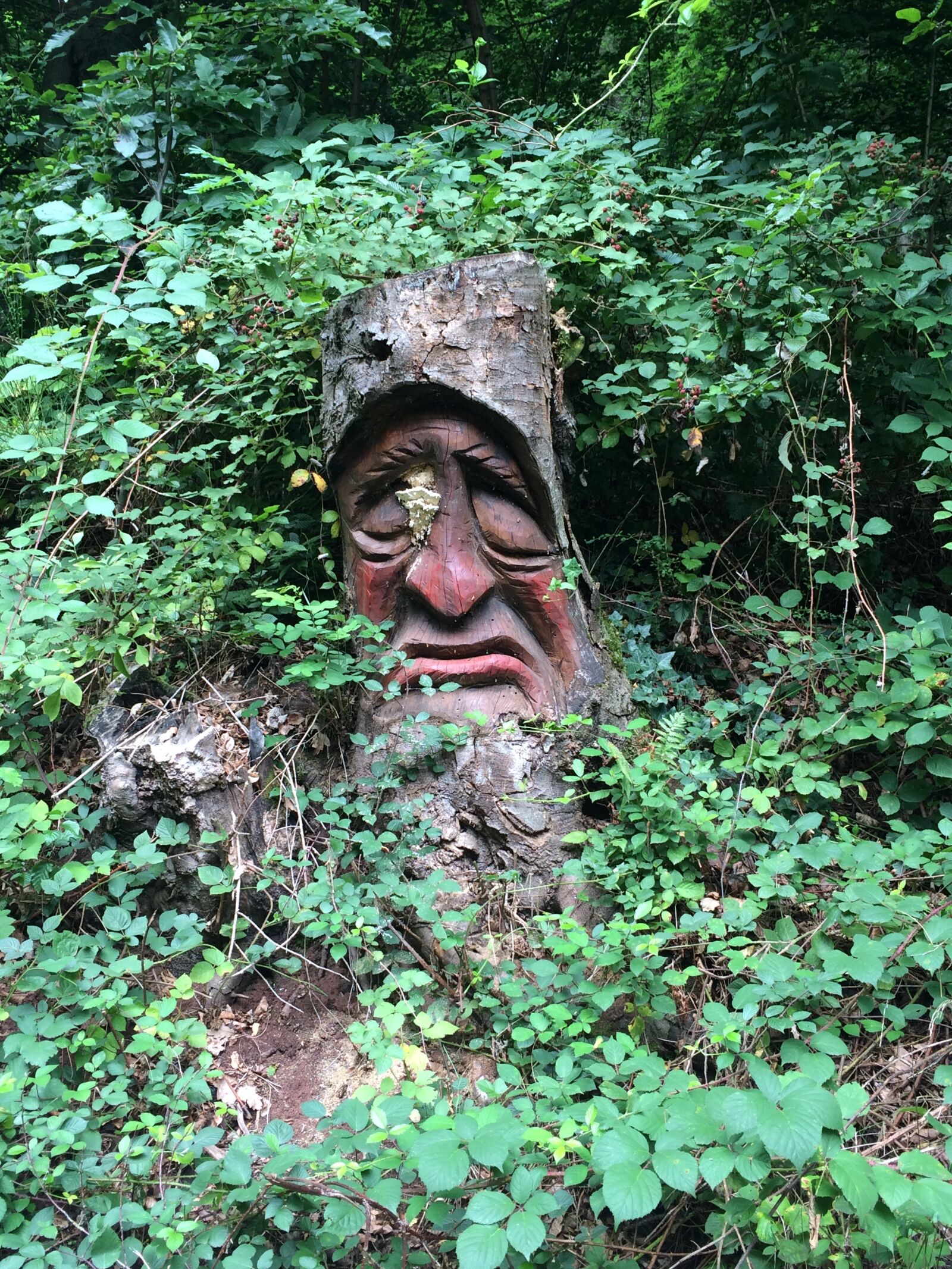 iPhone 5s back camera 4.15mm f/2.2 sample photo. Forest, dwarfs, palatinate photography