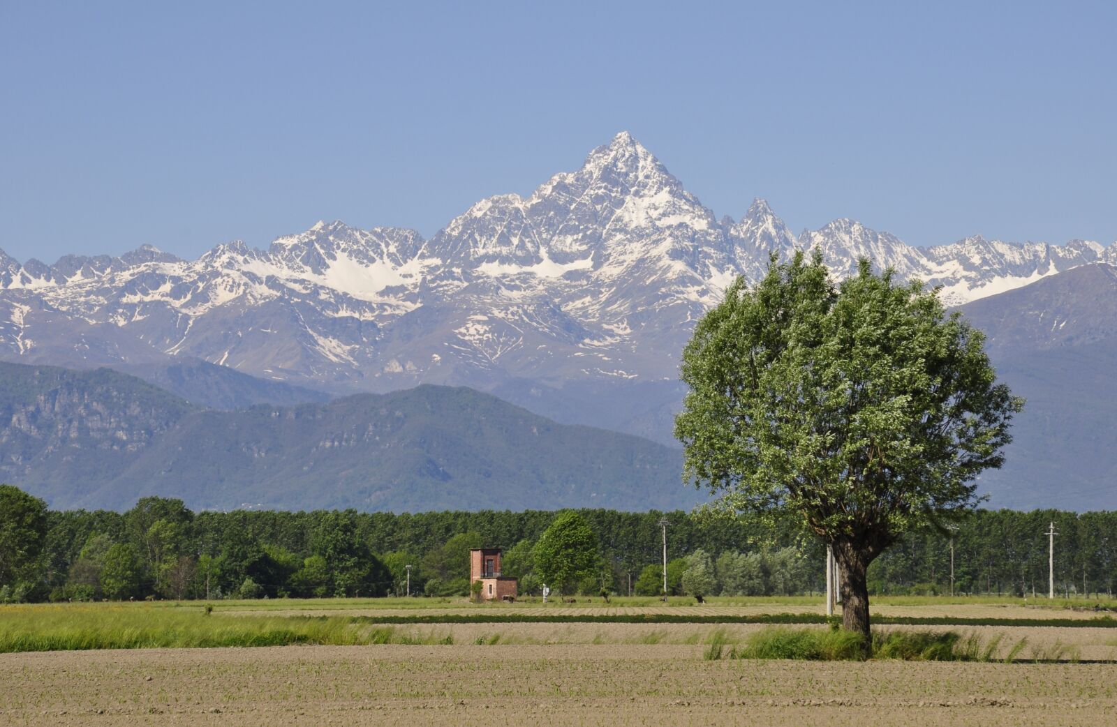 Nikon D5000 sample photo. Monviso, plain, alps photography