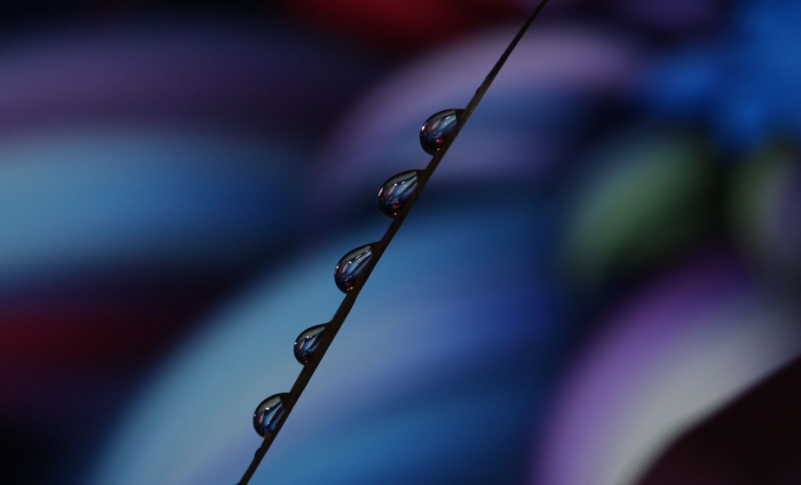 Canon EF-S 60mm F2.8 Macro USM sample photo. Drops, macro, reflection photography