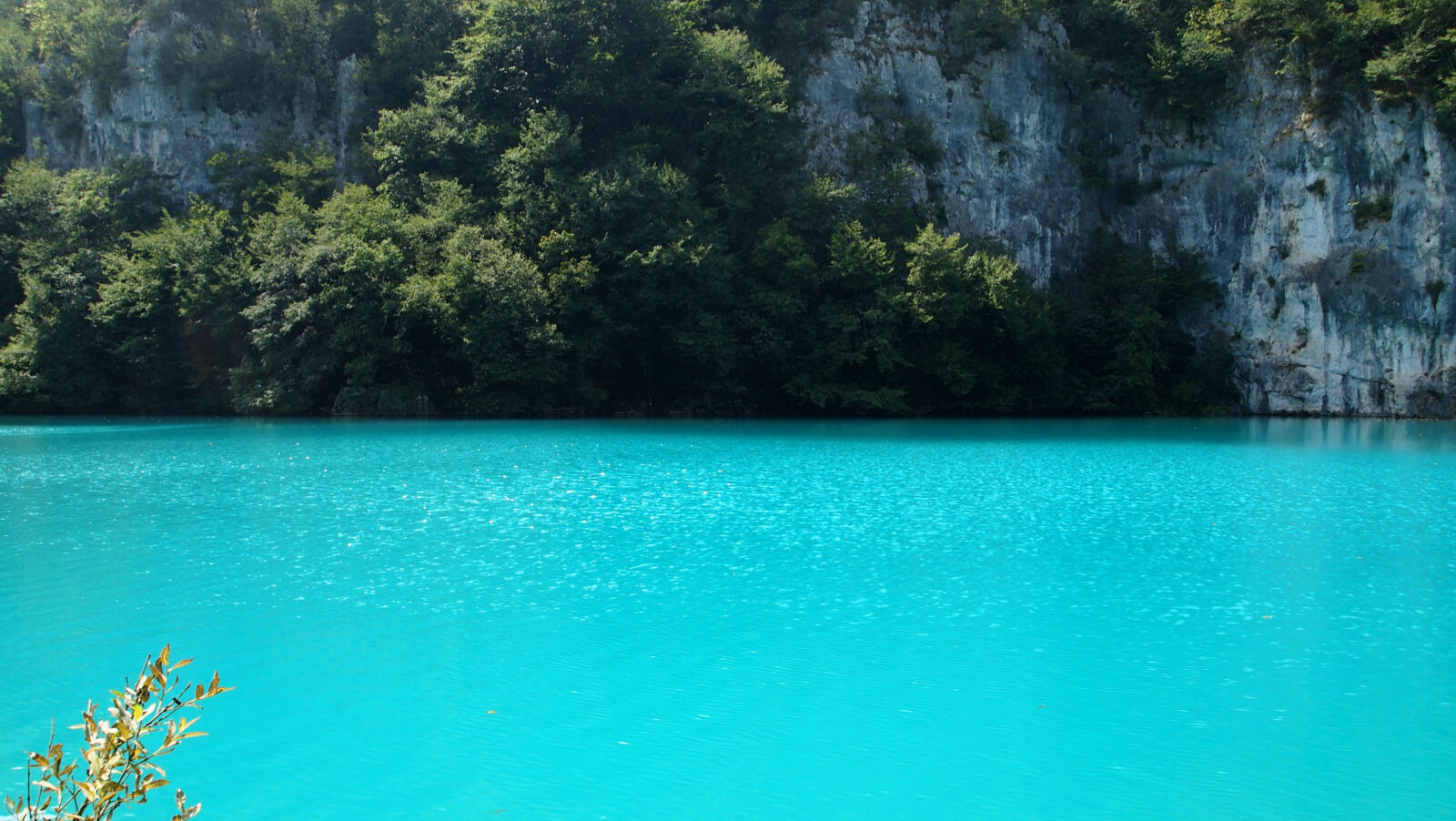 Olympus PEN E-PL1 sample photo. Blue, lake, plitvicka, jezera photography