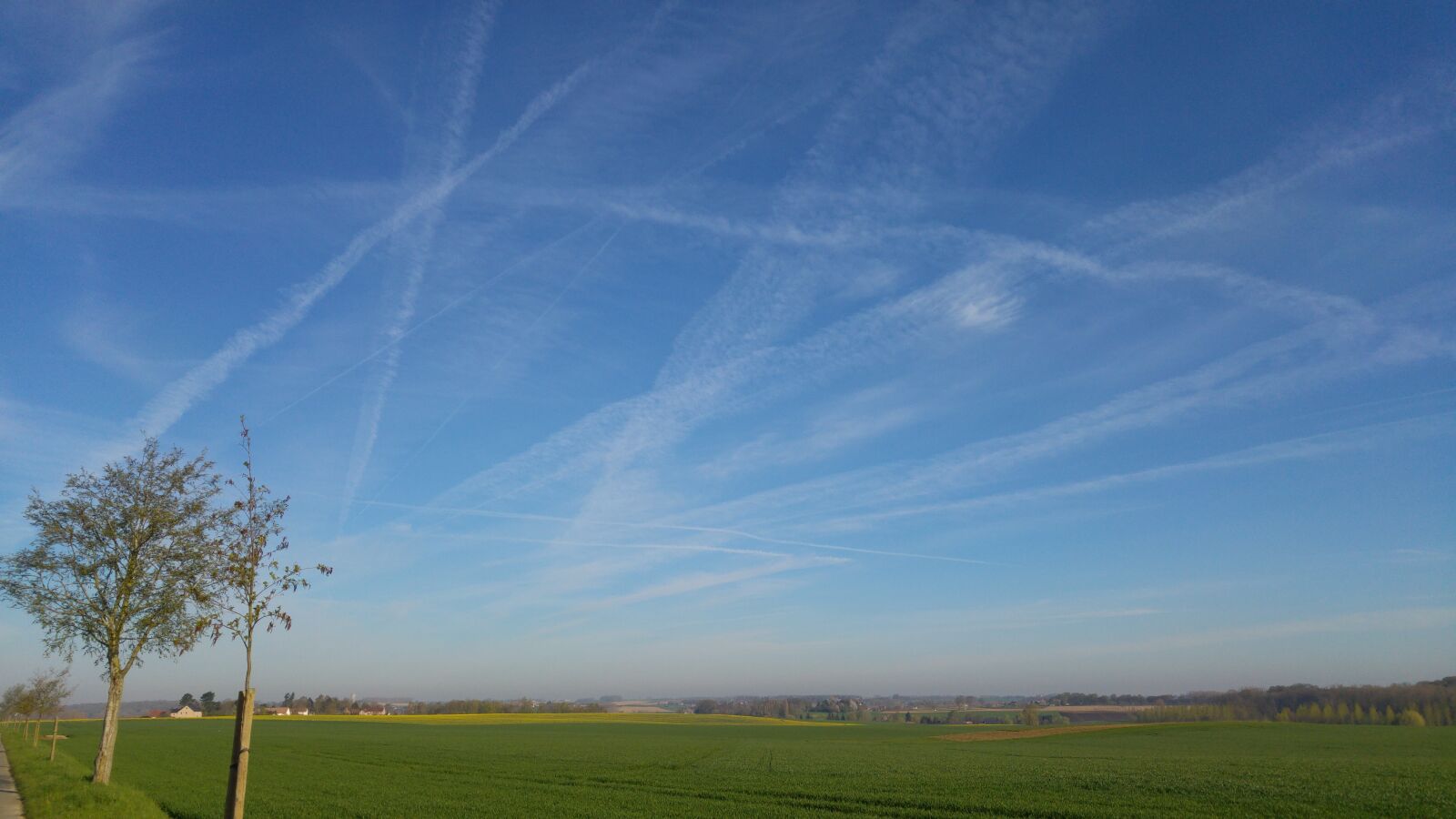 LG G4 sample photo. Sky hazy, chemtrails, landscape photography