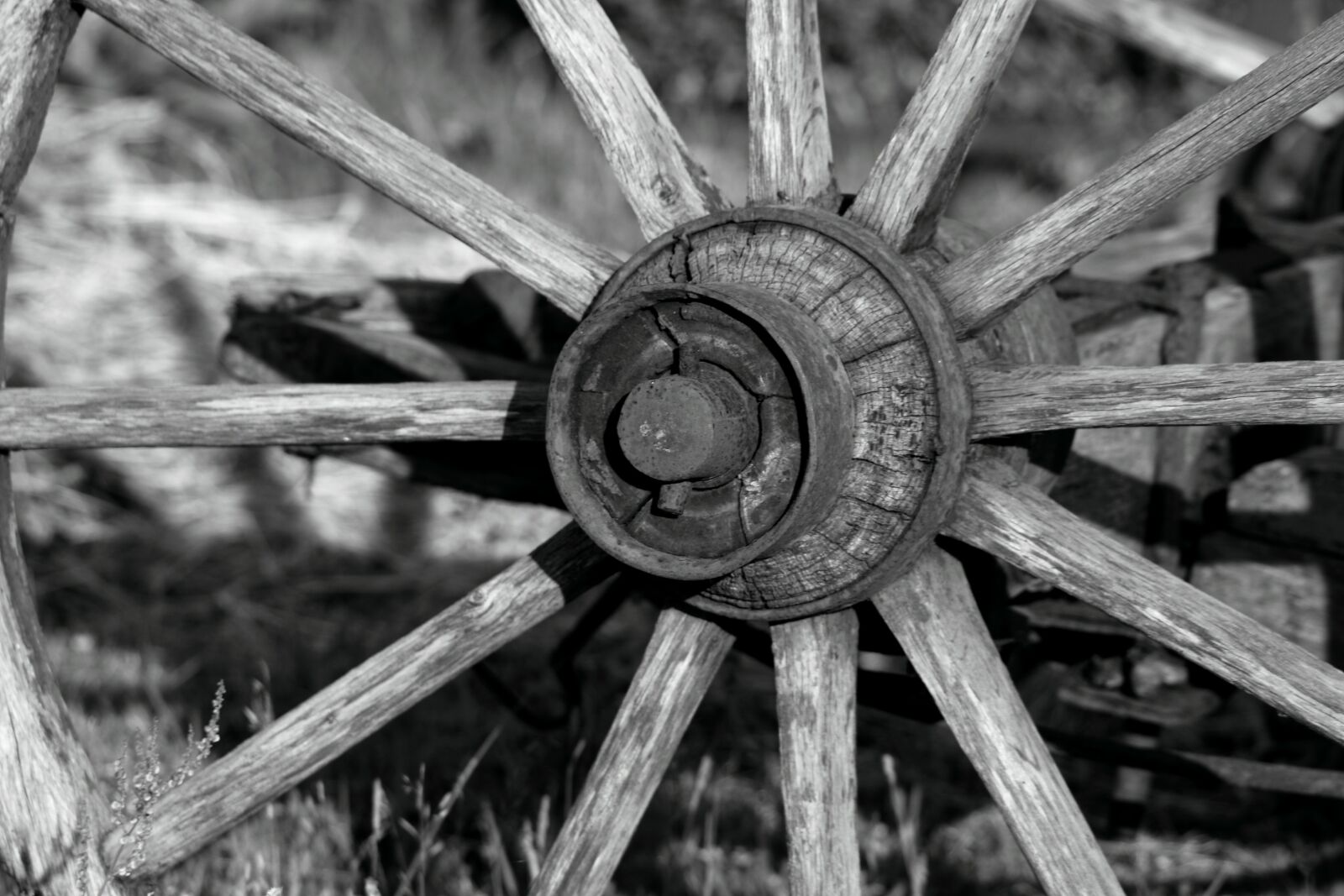 Canon EOS 500D (EOS Rebel T1i / EOS Kiss X3) sample photo. Wheel, wood, team photography