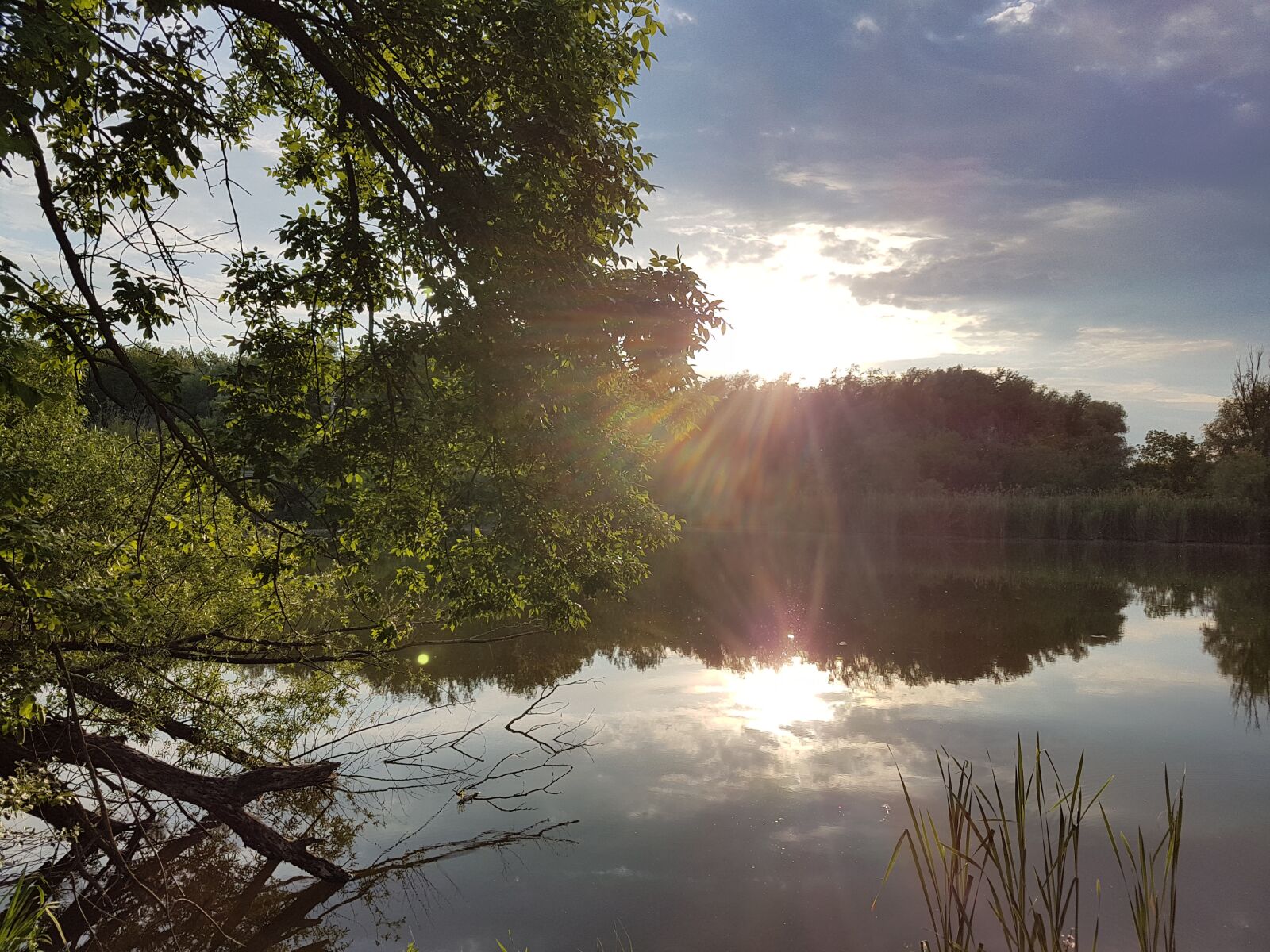 Samsung Galaxy S7 Edge sample photo. Waterfront, nature, wood photography
