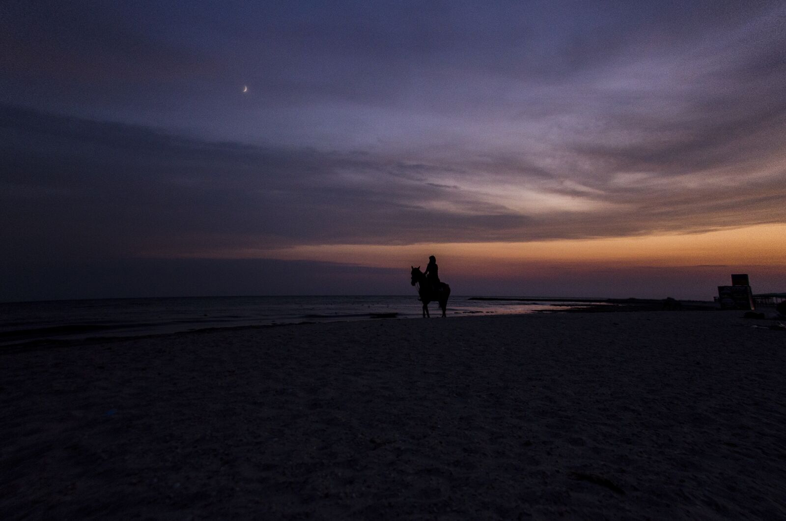 Nikon D7000 sample photo. Sea, horse, gi photography