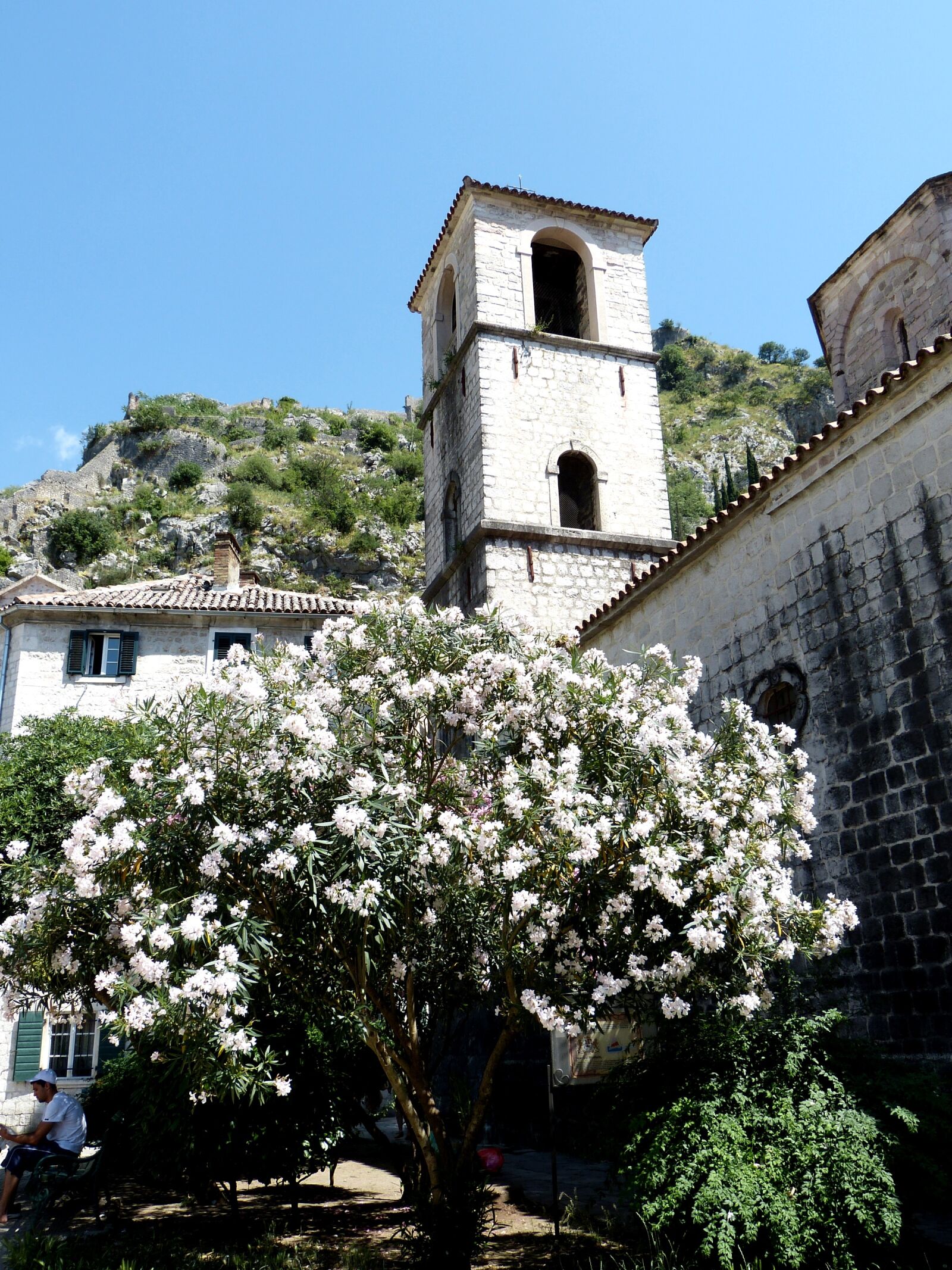 Panasonic Lumix DMC-FZ150 sample photo. Kotor, montenegro, balkan photography