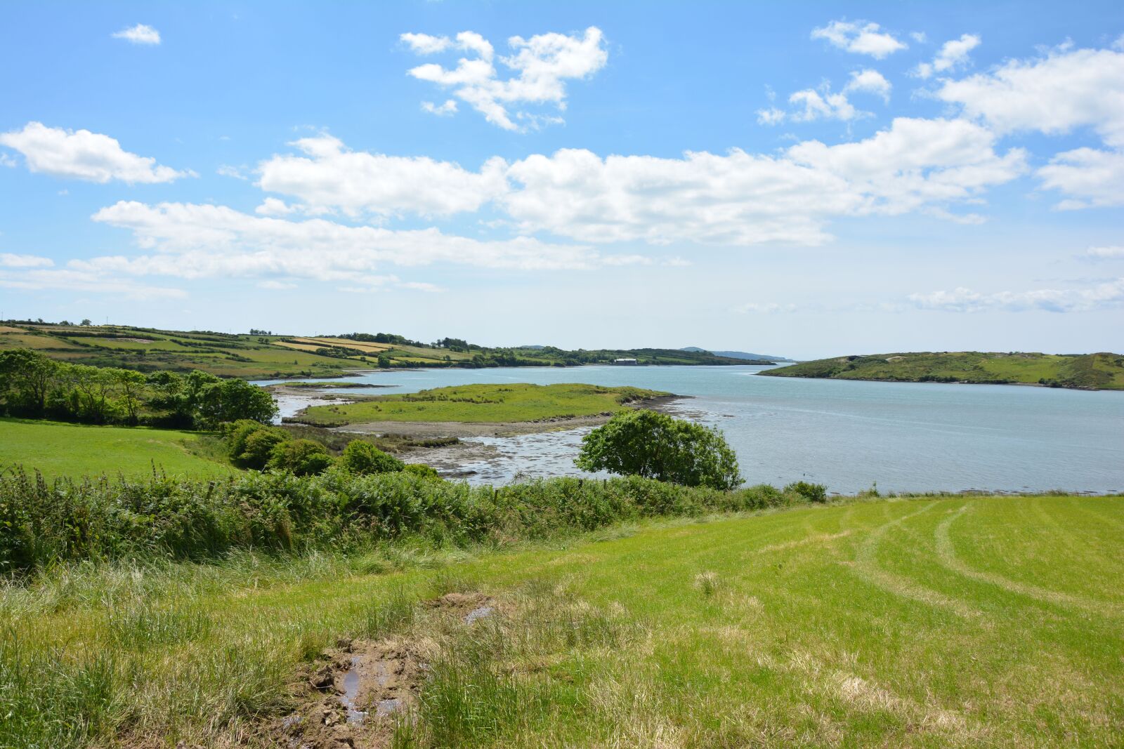 Nikon D5200 sample photo. Ireland, innish beg, nature photography