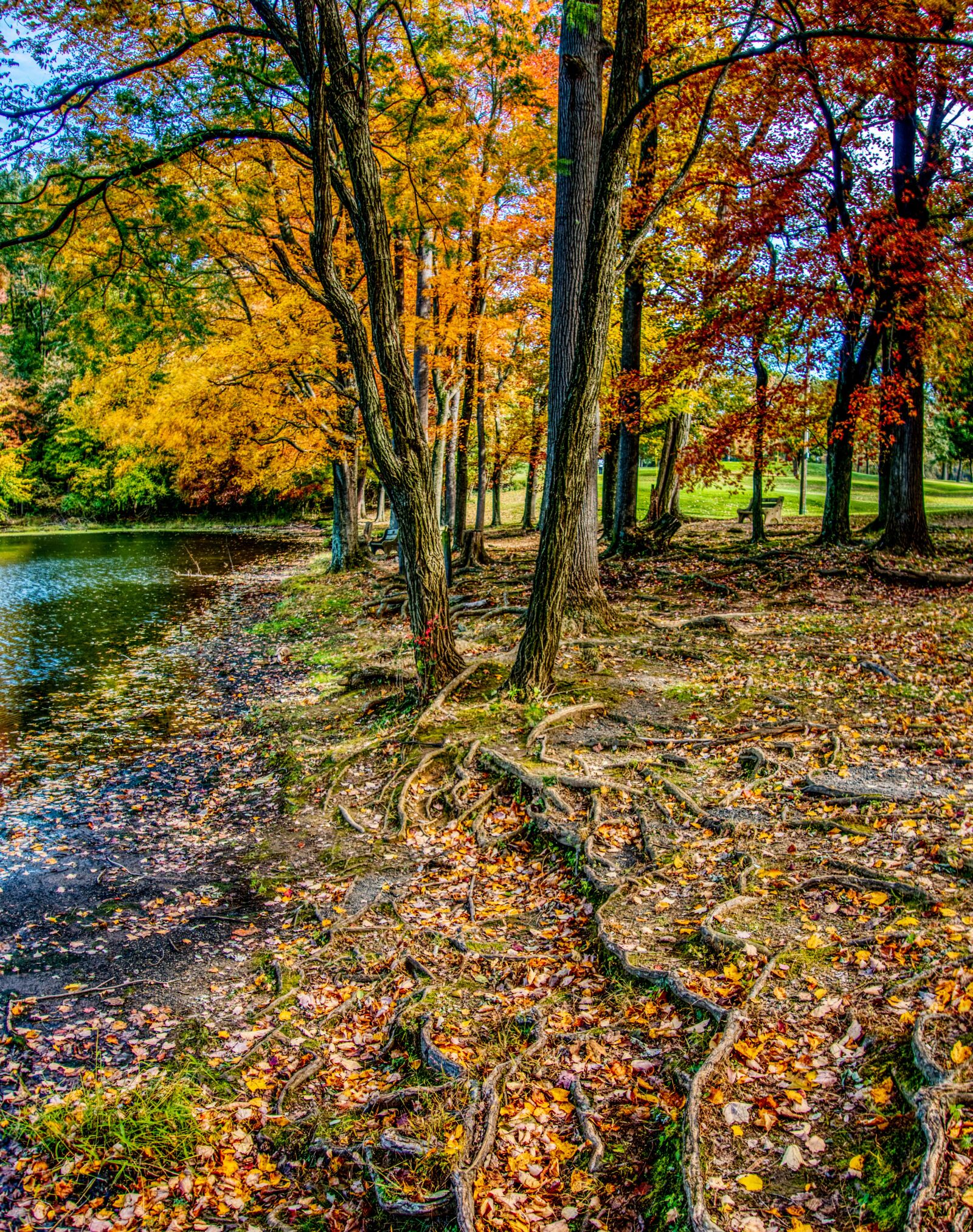 Sony Cyber-shot DSC-RX100 III sample photo. Landscape, autumn, trees photography