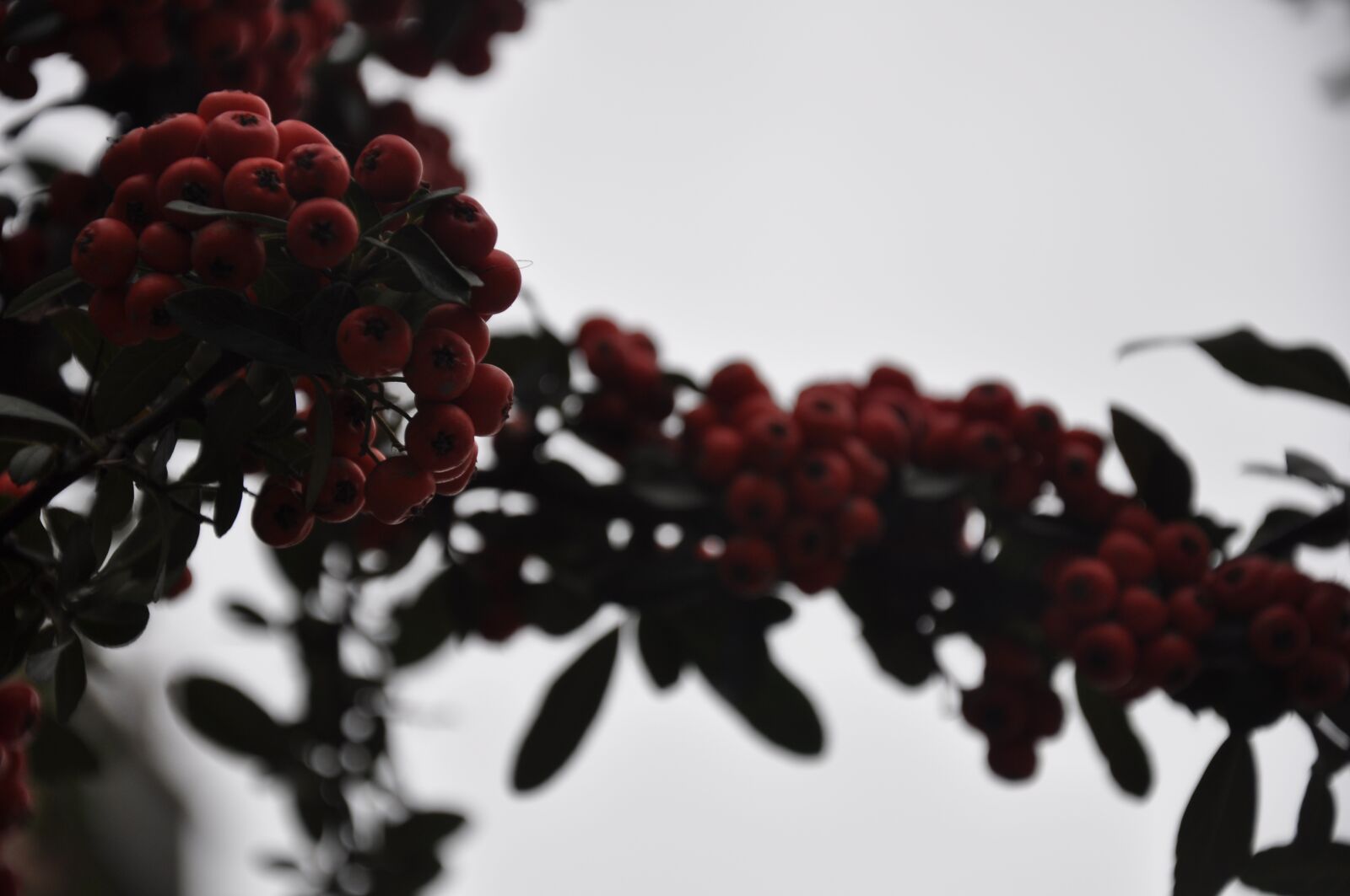 Nikon D90 sample photo. Photos, taken, s photography