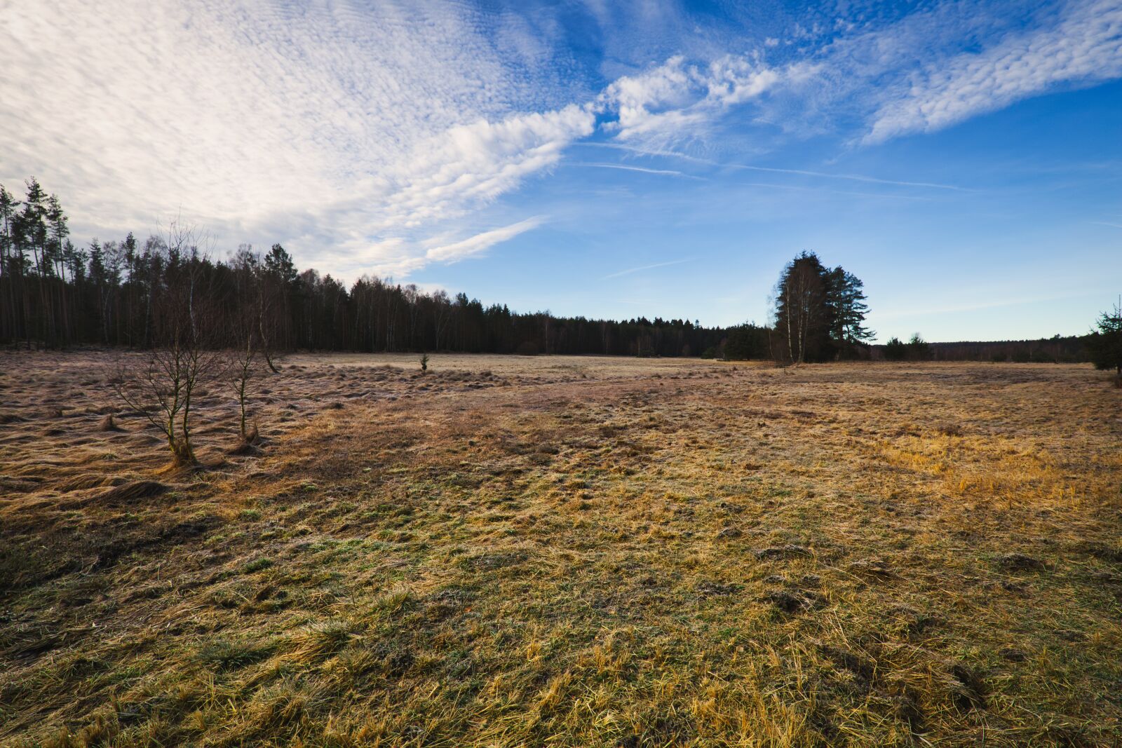 Canon EOS 6D + Tamron SP 15-30mm F2.8 Di VC USD sample photo. Moor, landscape, meadow photography