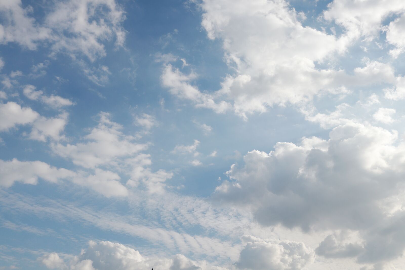 Canon EOS 80D sample photo. Sky, cloud, blue sky photography