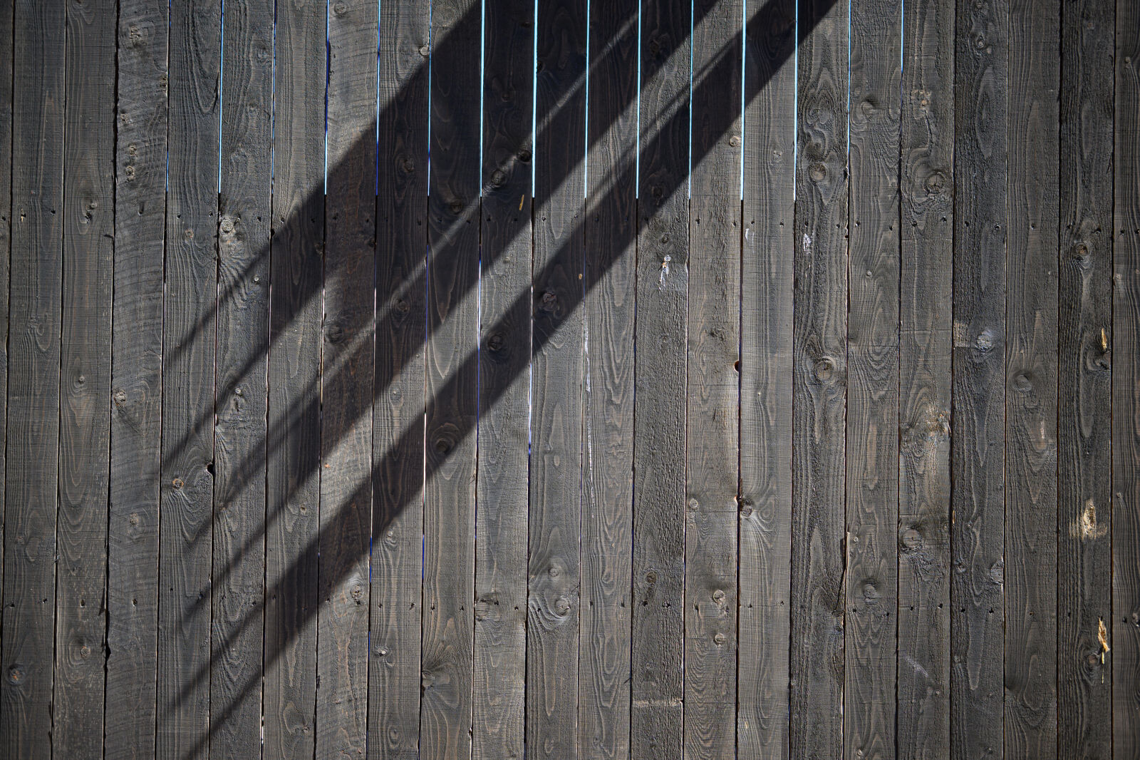 Nikon Z9 sample photo. Shadow for the fence photography