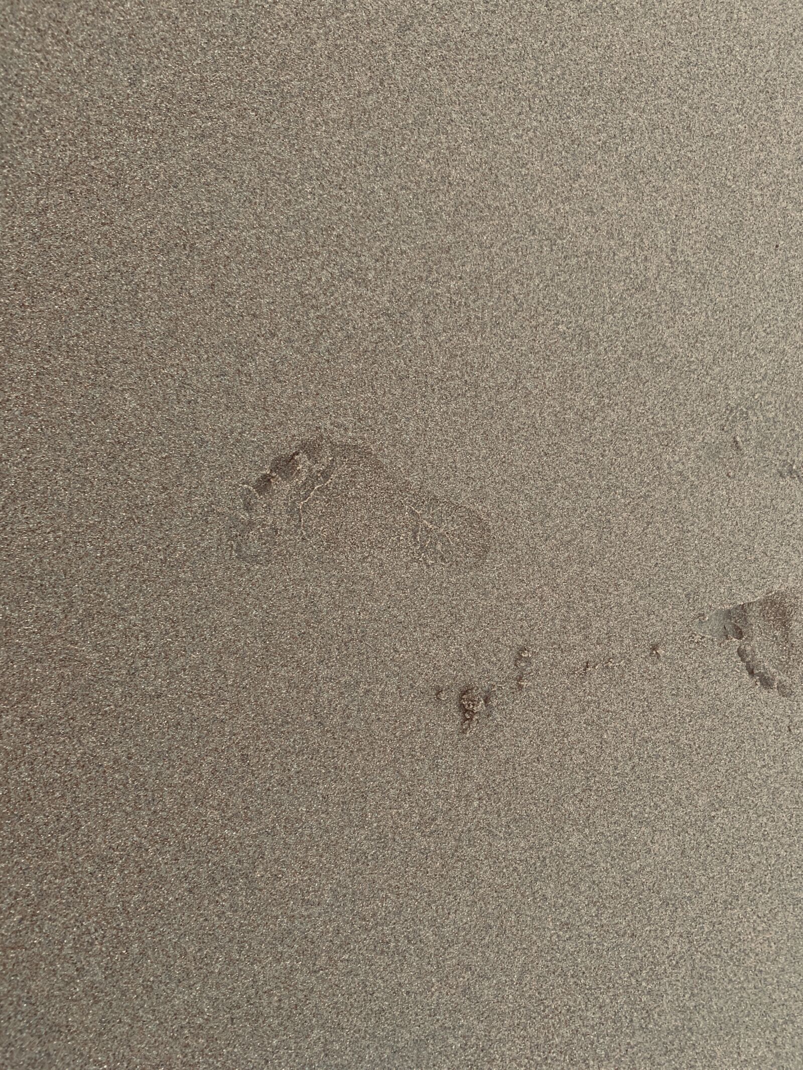 Apple iPhone XR sample photo. Footprints, beach, sand photography