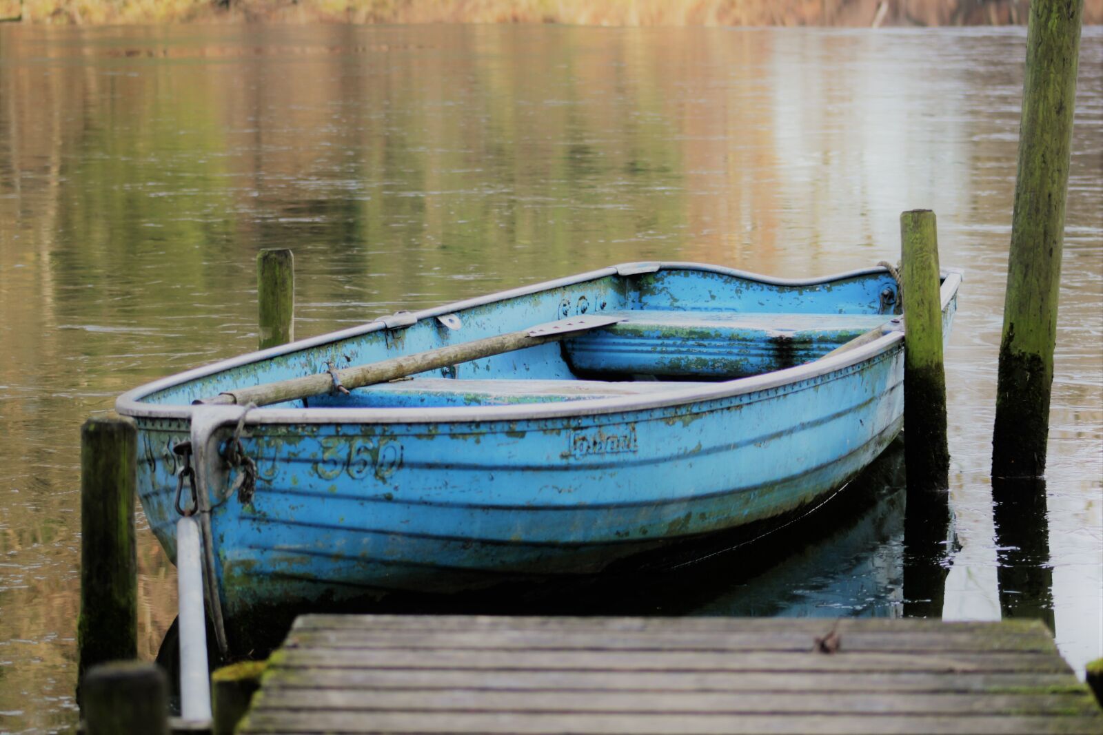 Canon EOS 1200D (EOS Rebel T5 / EOS Kiss X70 / EOS Hi) sample photo. Rowing boat, pond, water photography