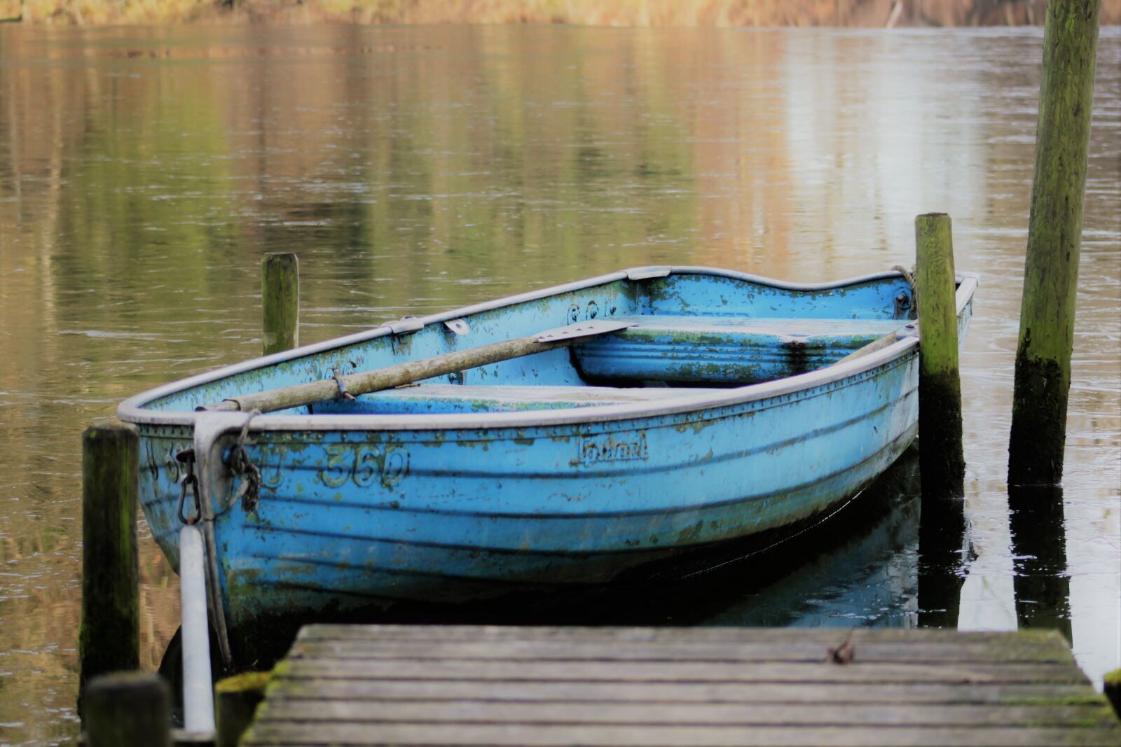 Canon EOS 1200D (EOS Rebel T5 / EOS Kiss X70 / EOS Hi) + Canon EF75-300mm f/4-5.6 sample photo. Rowing boat, pond, water photography