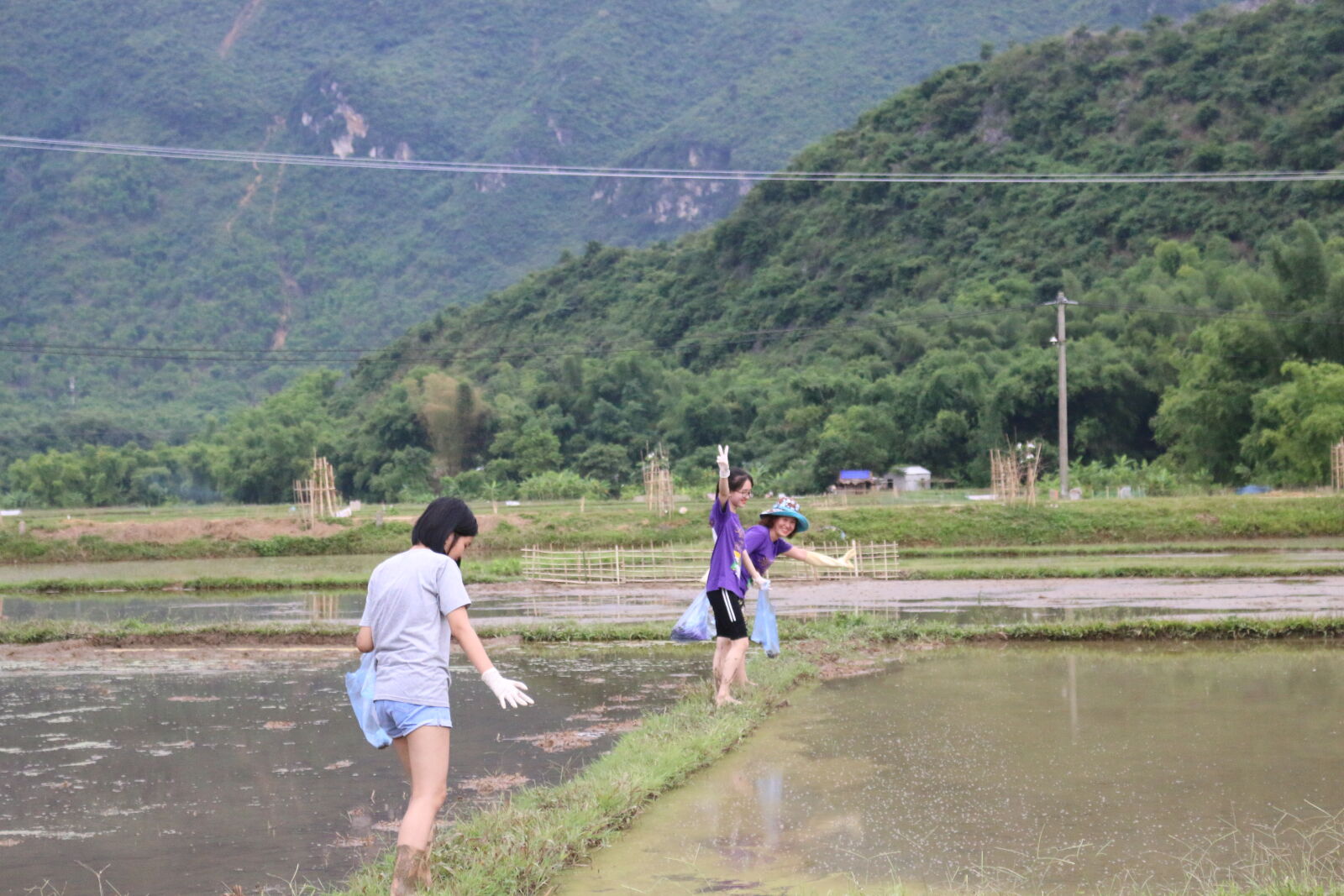 Canon EOS 70D sample photo