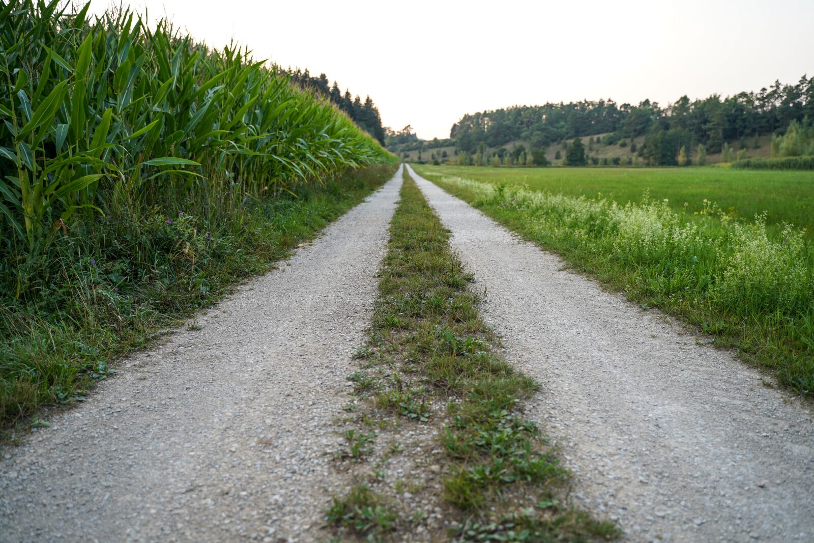 Sony a7 III + Tamron 28-75mm F2.8 Di III RXD sample photo. Away, gravel road, lane photography