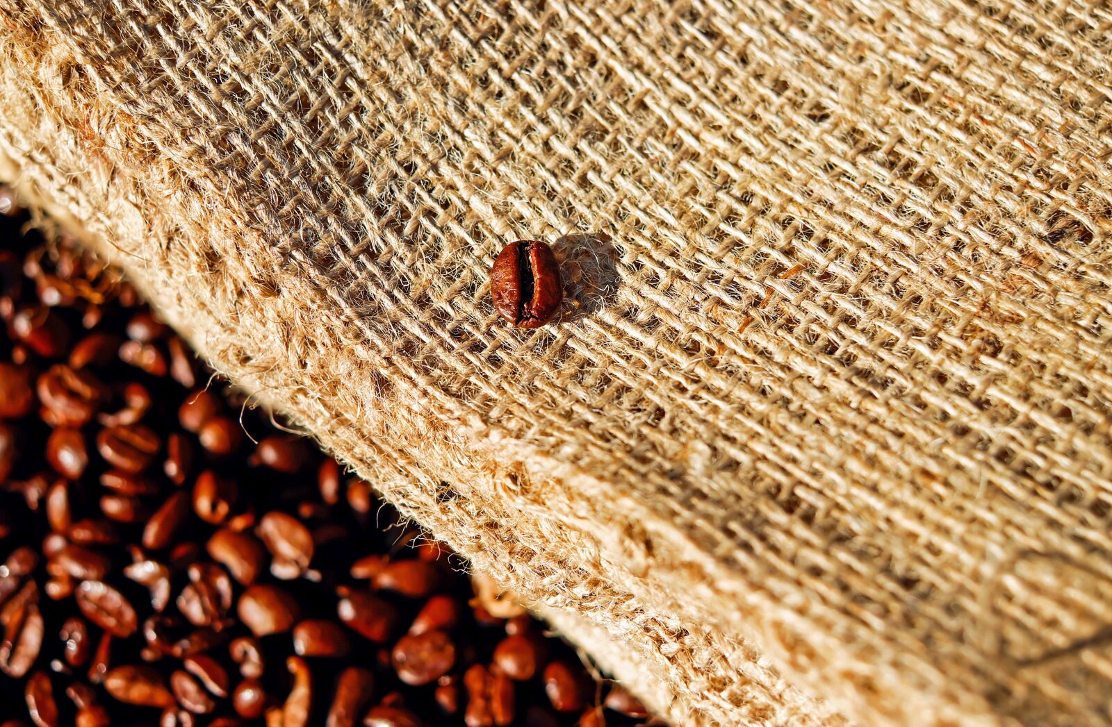 Fujifilm X-T10 + Fujifilm XF 35mm F1.4 R sample photo. Coffee, bean, coffee bean photography