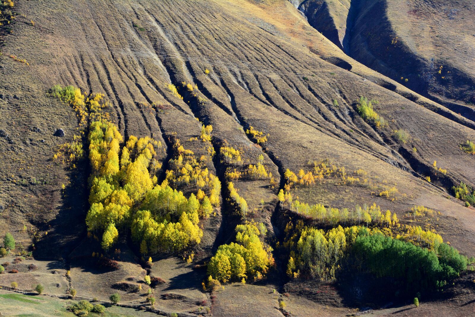 Nikon D7100 sample photo. Nature, landscape, kaçkars photography