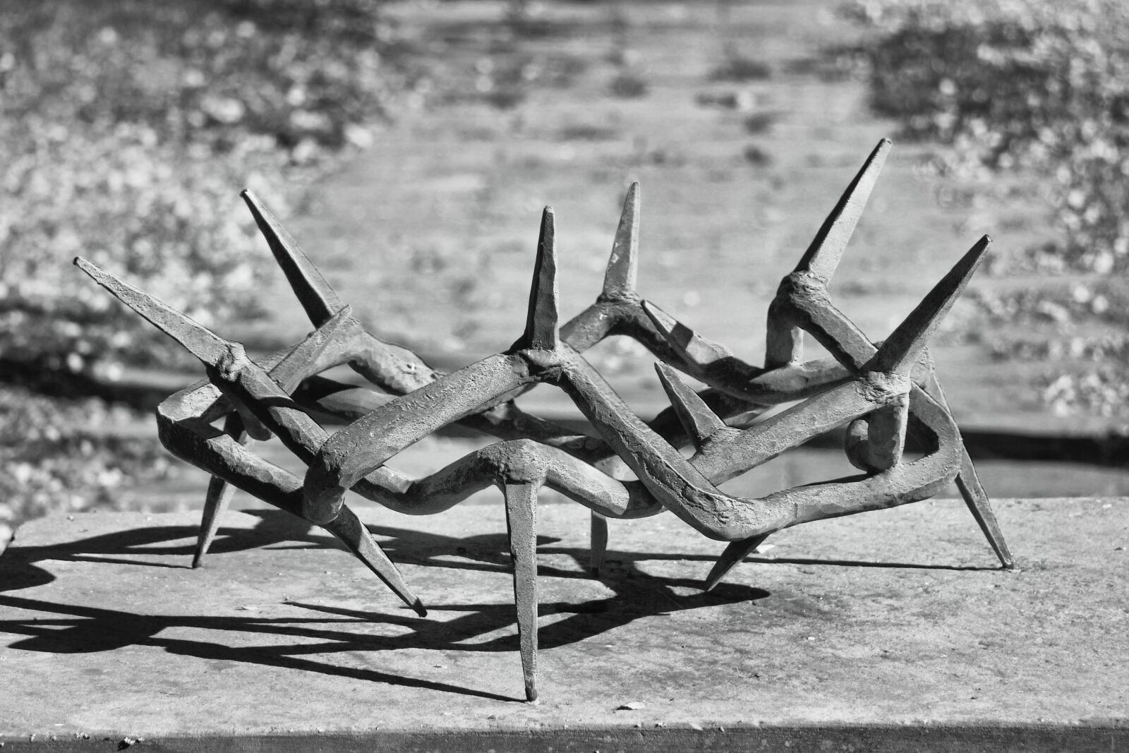 Canon EOS 700D (EOS Rebel T5i / EOS Kiss X7i) sample photo. Crown of thorns, plastic photography