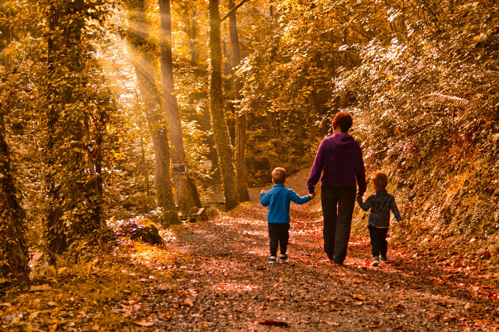 Nikon D500 sample photo. Family, forest, walk photography
