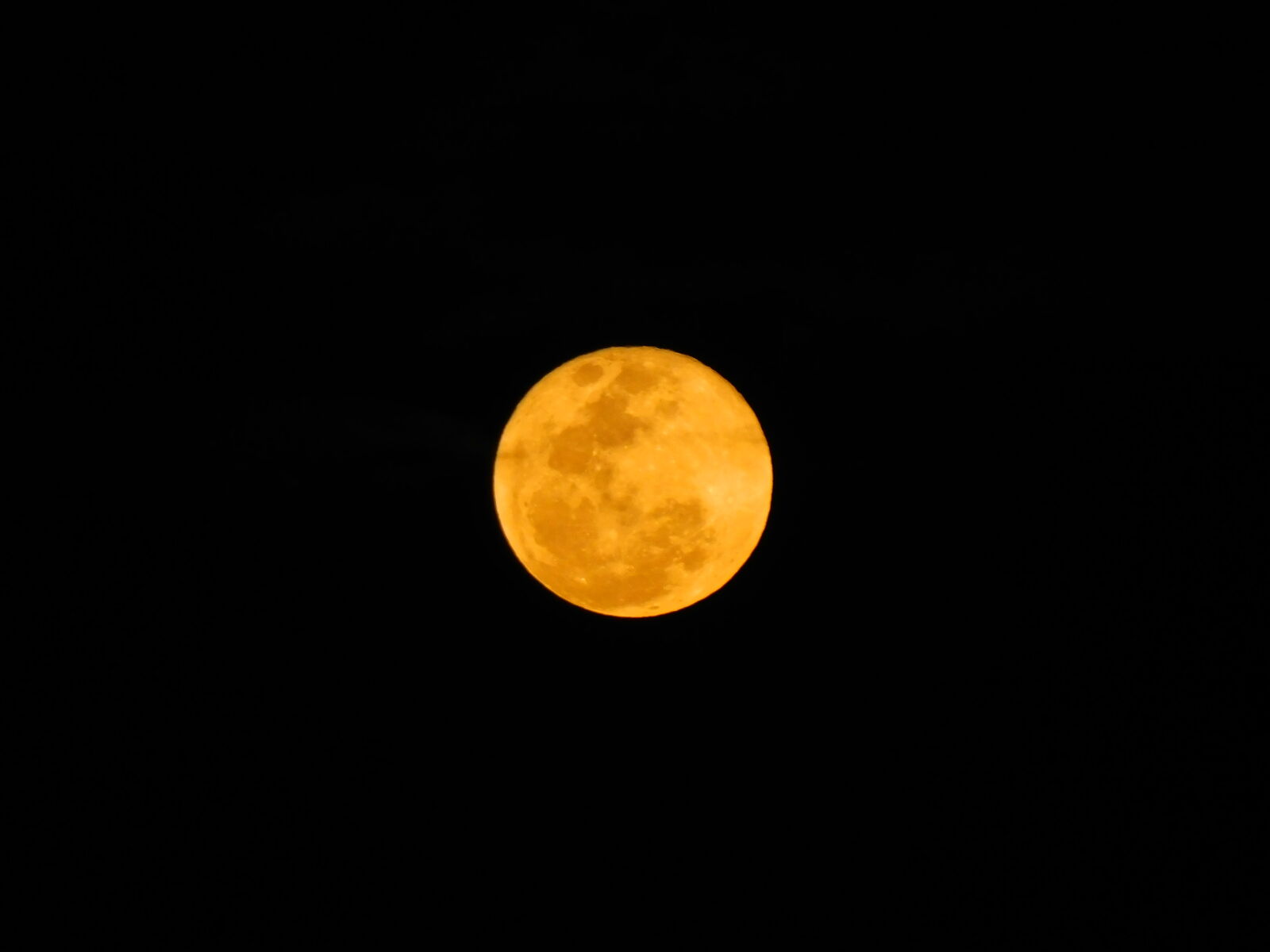 Nikon Coolpix B500 sample photo