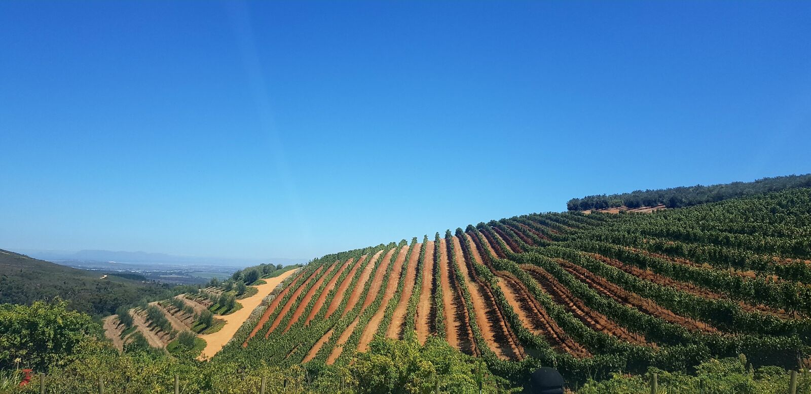 Samsung Galaxy S8+ sample photo. Tokara estate, stellenbosch, western photography
