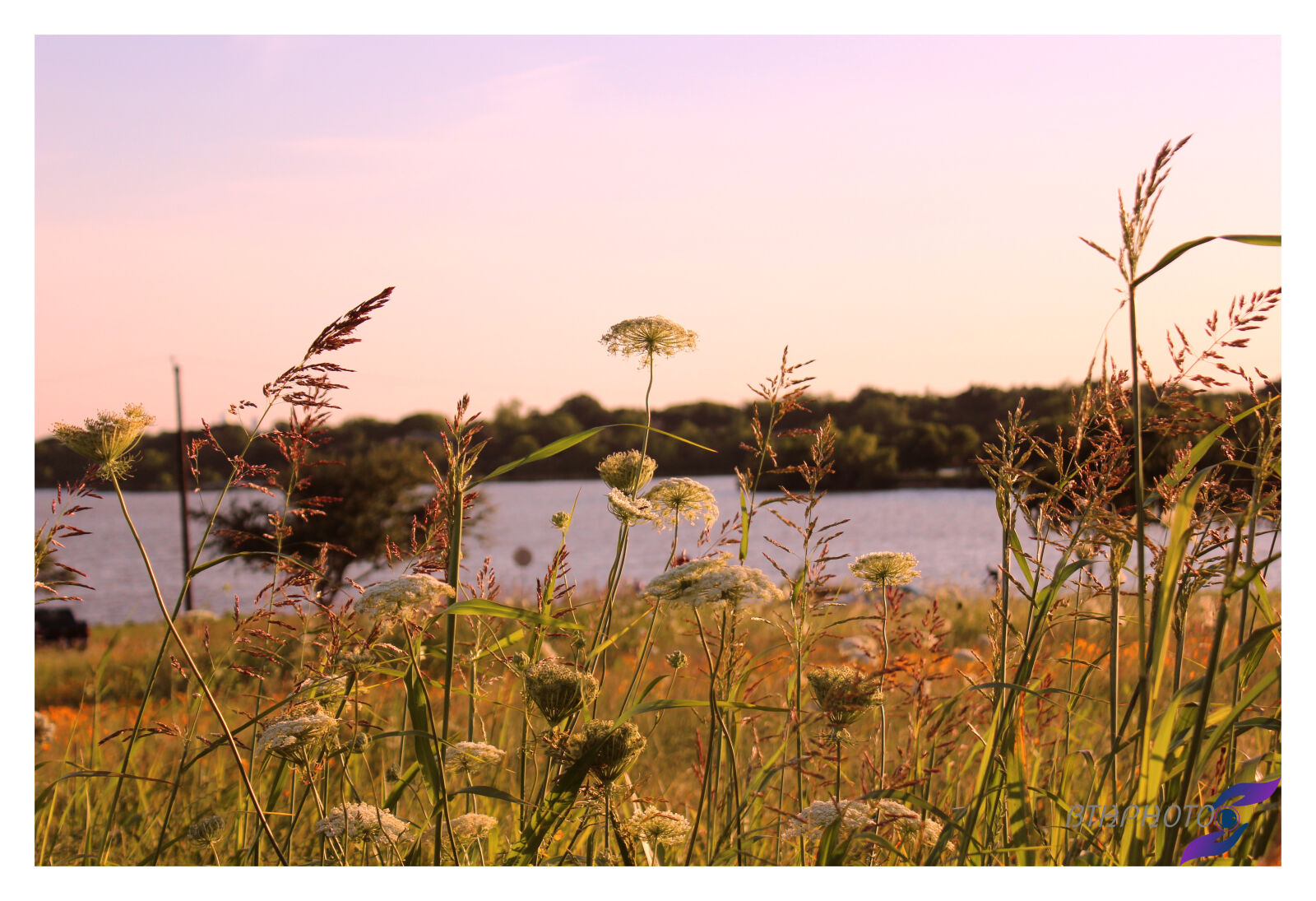 Canon EOS 1300D (EOS Rebel T6 / EOS Kiss X80) sample photo. Adobe, photoshop, art, nature photography