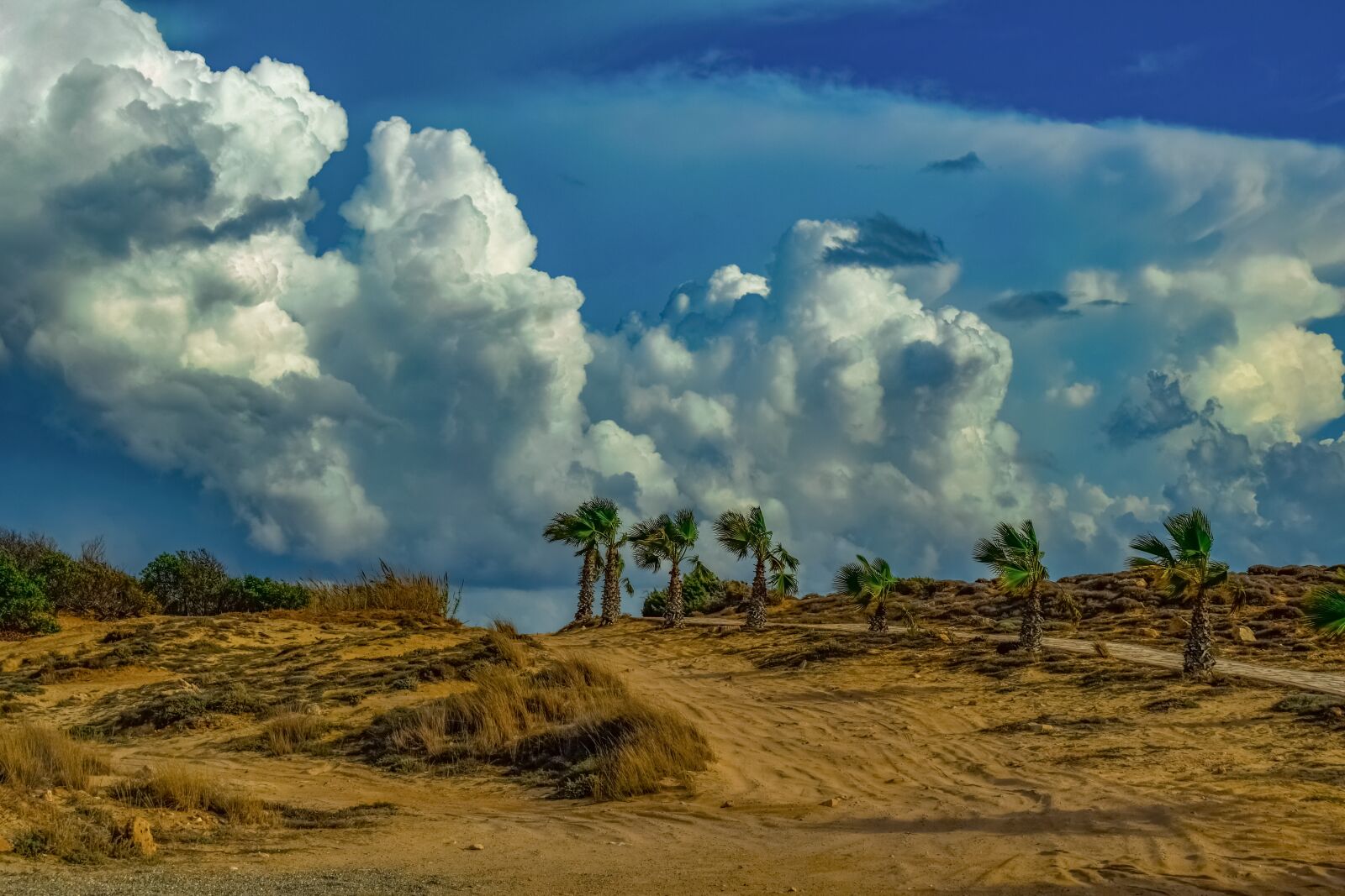 Nikon D3300 sample photo. Landscape, palm trees, dunes photography