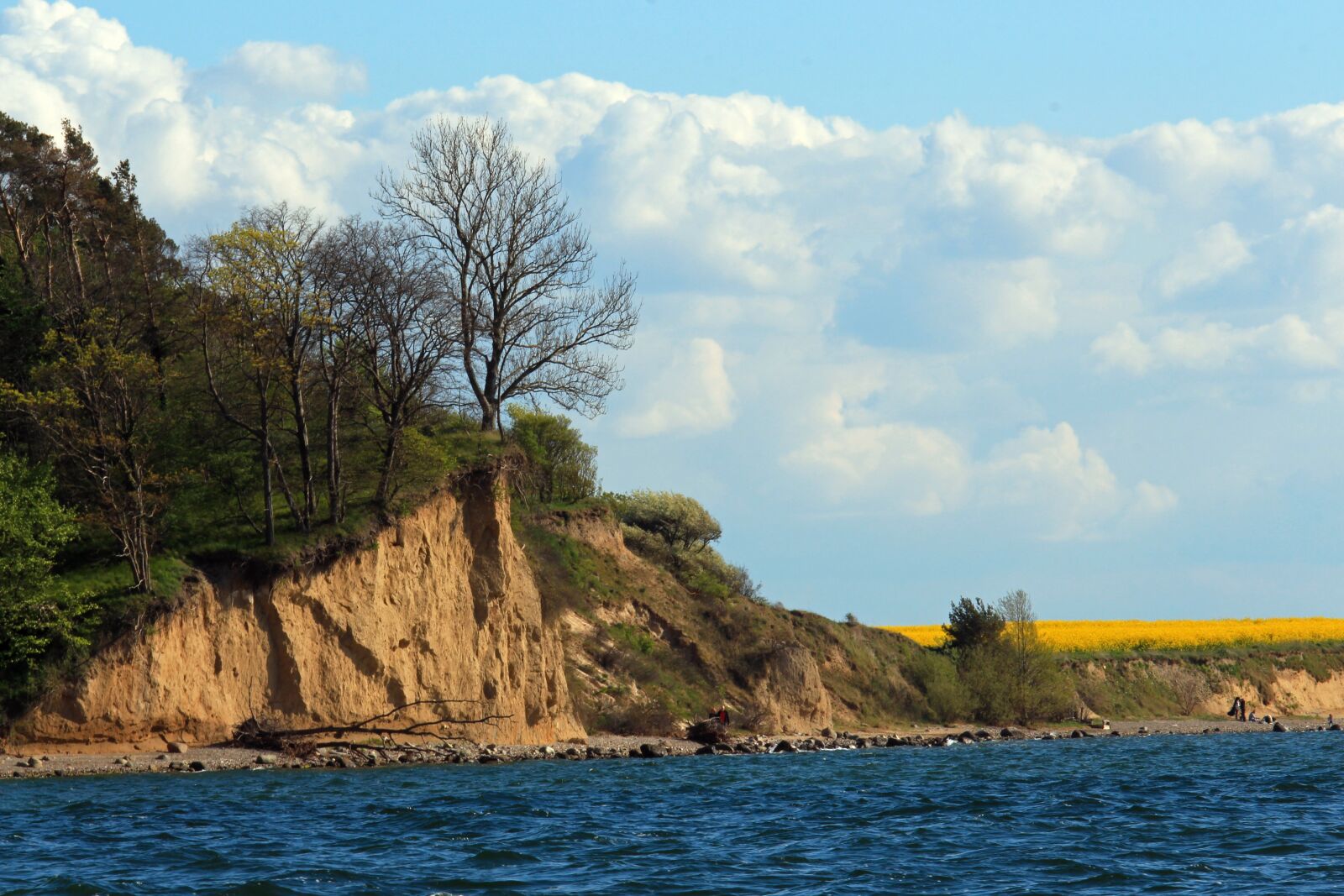 Canon EOS 700D (EOS Rebel T5i / EOS Kiss X7i) sample photo. R gen island, island photography