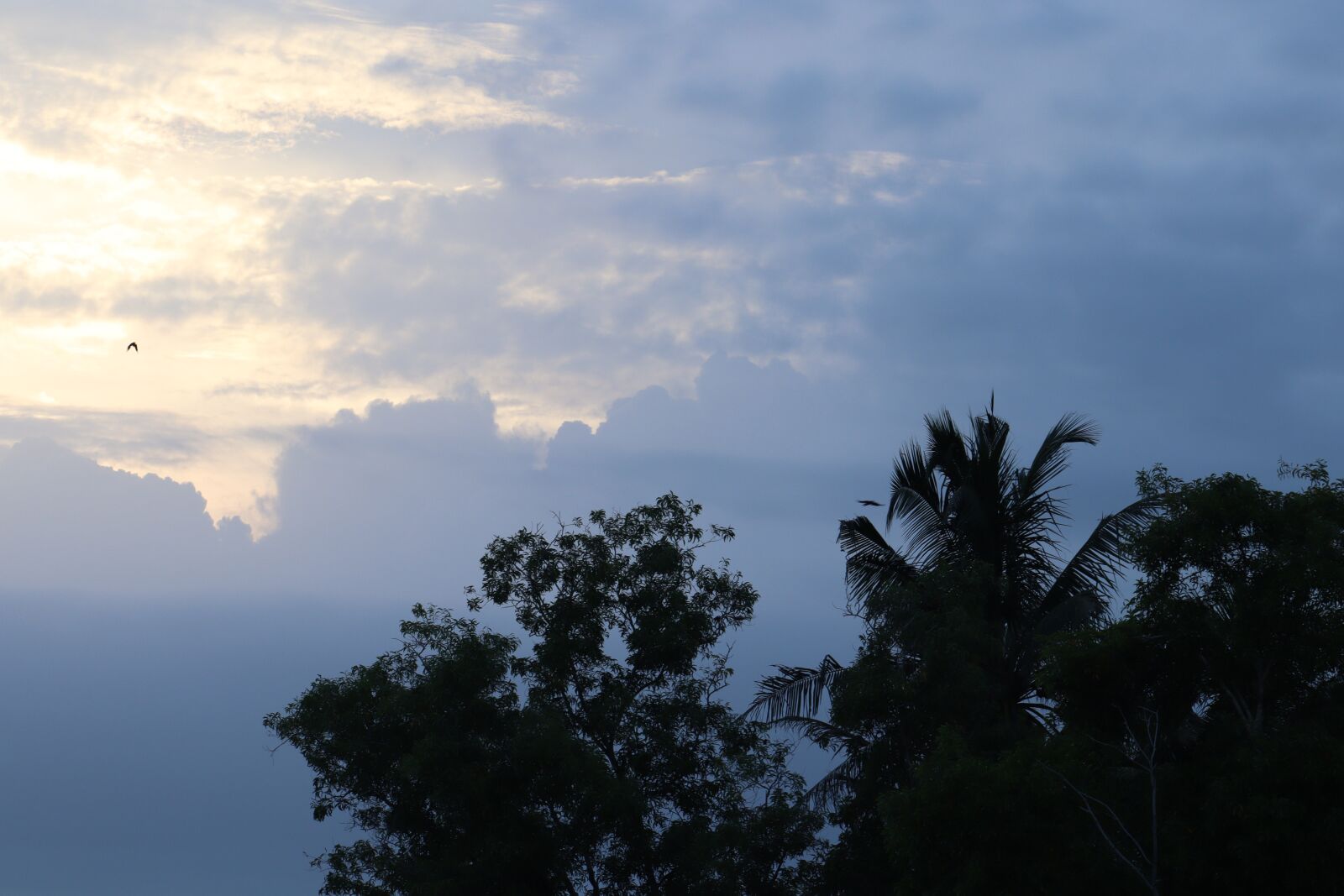 Canon EOS 250D (EOS Rebel SL3 / EOS Kiss X10 / EOS 200D II) sample photo. Sky, evening, clouds photography