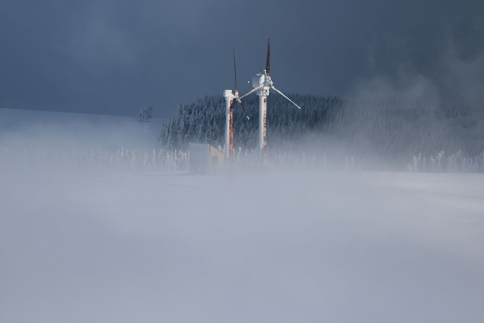 Canon EF 70-200mm F4L USM sample photo. Mountain, romania, semenic, winter photography