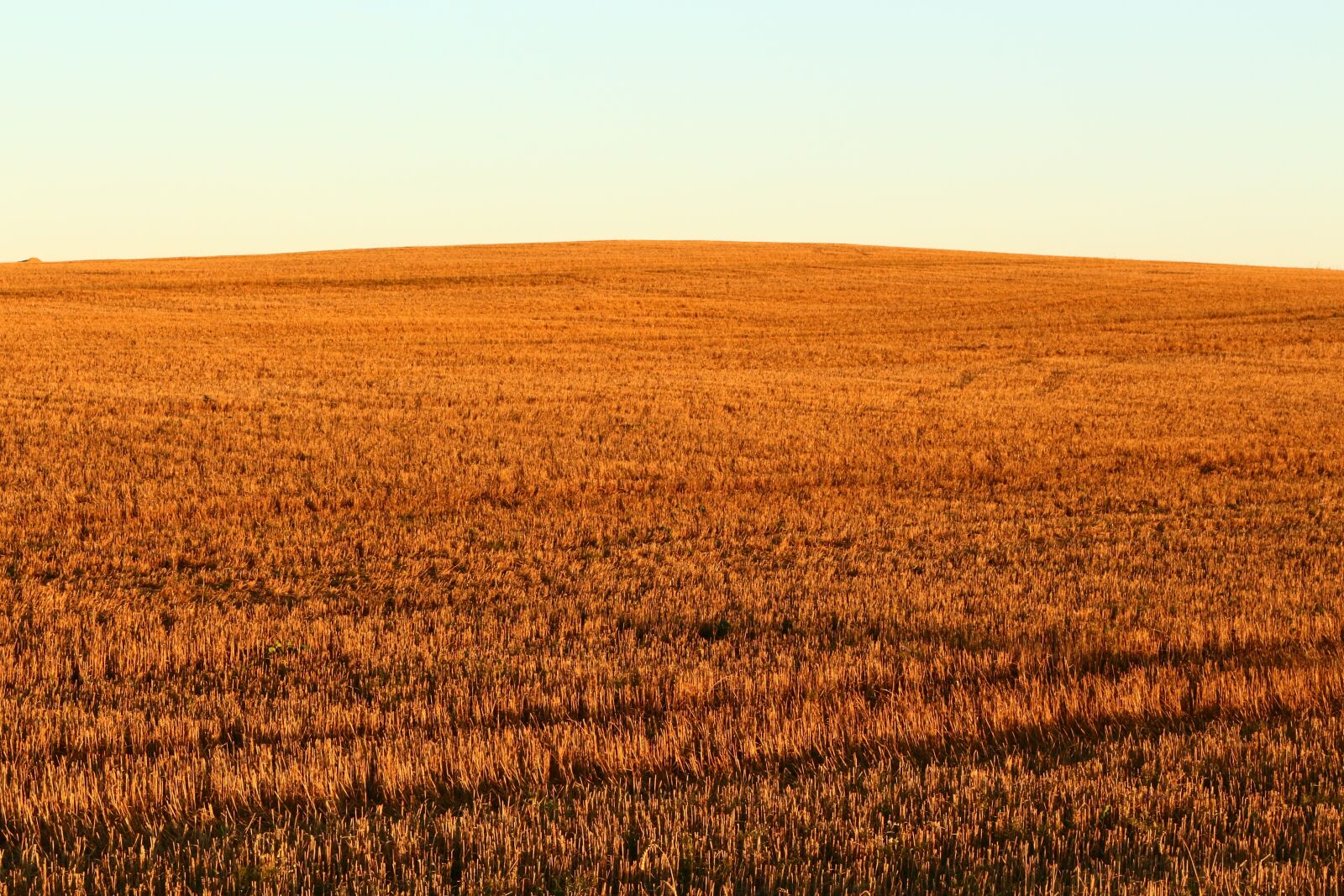 Canon EOS 700D (EOS Rebel T5i / EOS Kiss X7i) sample photo. Sunset, field, mood photography