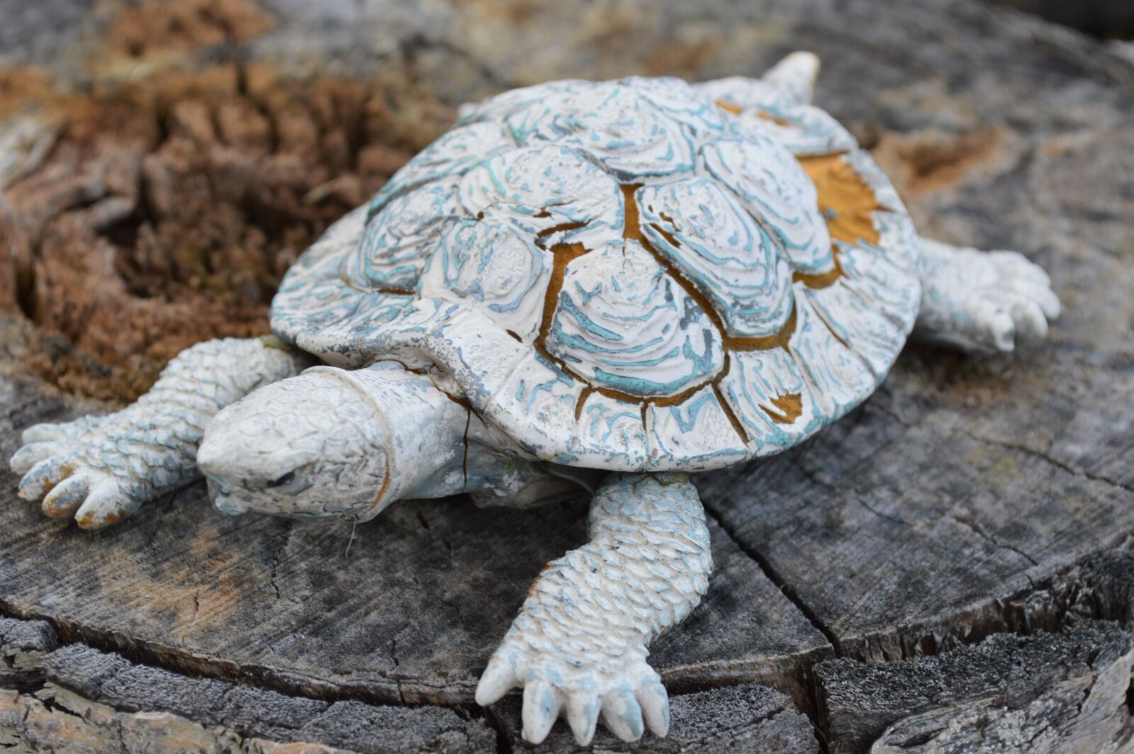 Nikon D3200 sample photo. Turtle, statue, garden photography
