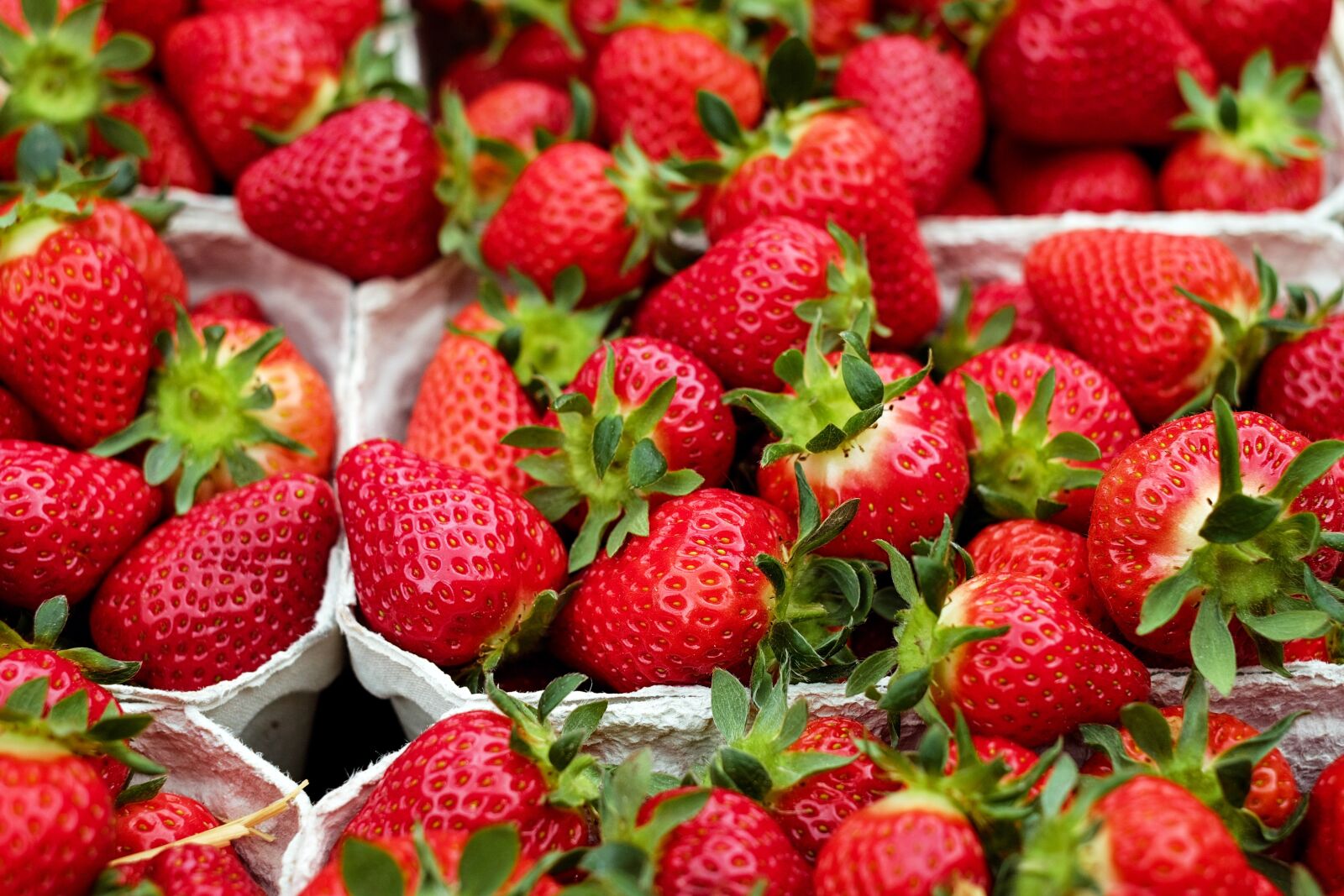 Fujifilm X-T10 + Fujifilm XF 35mm F1.4 R sample photo. Strawberries, fruit, red photography