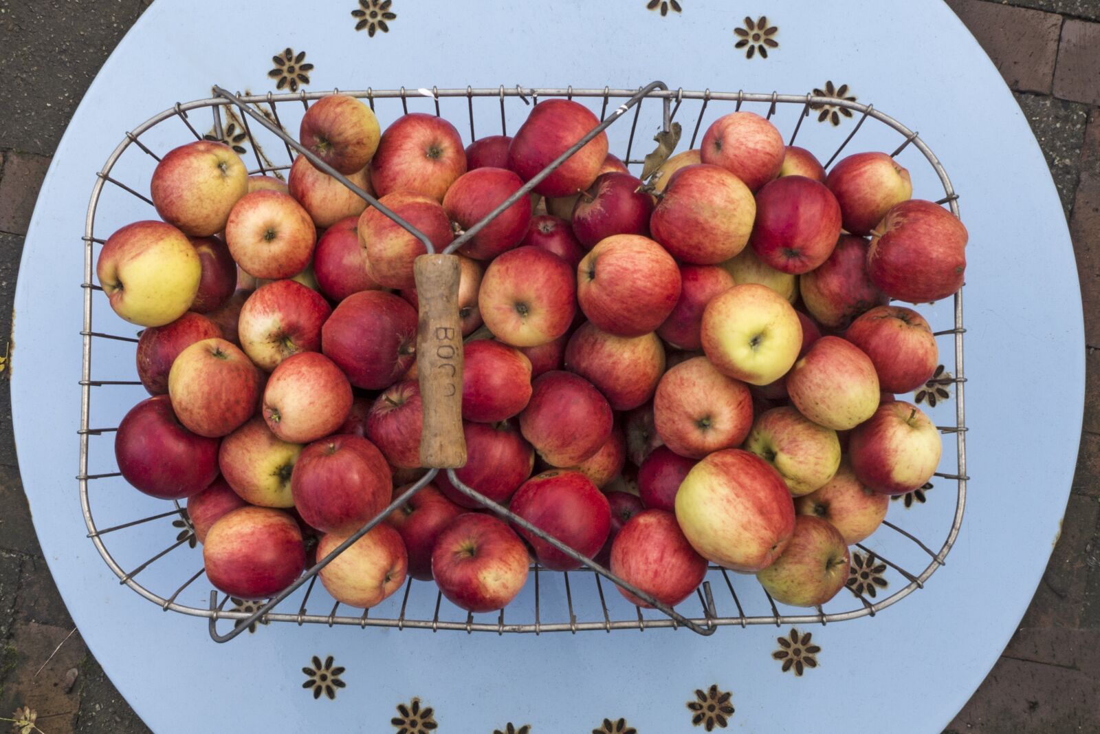 Olympus OM-D E-M10 sample photo. Apple, boskoop, pome fruit photography