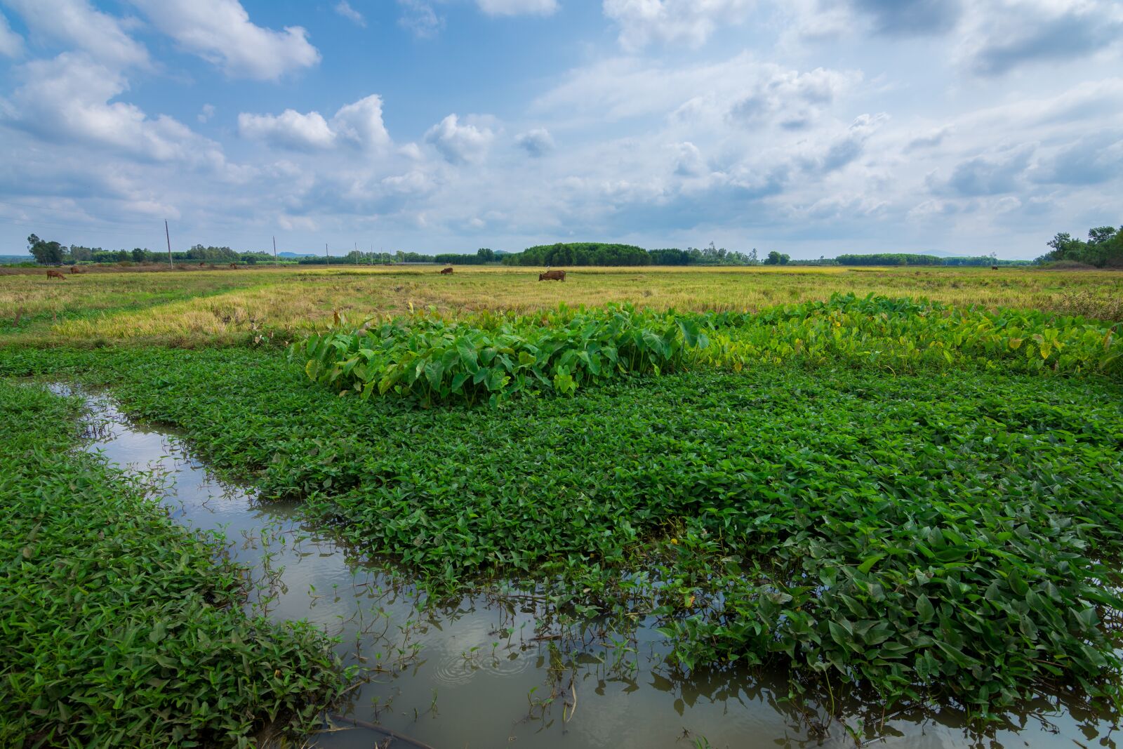 Nikon D7200 sample photo. Landscapes, wallpaper, natural photography