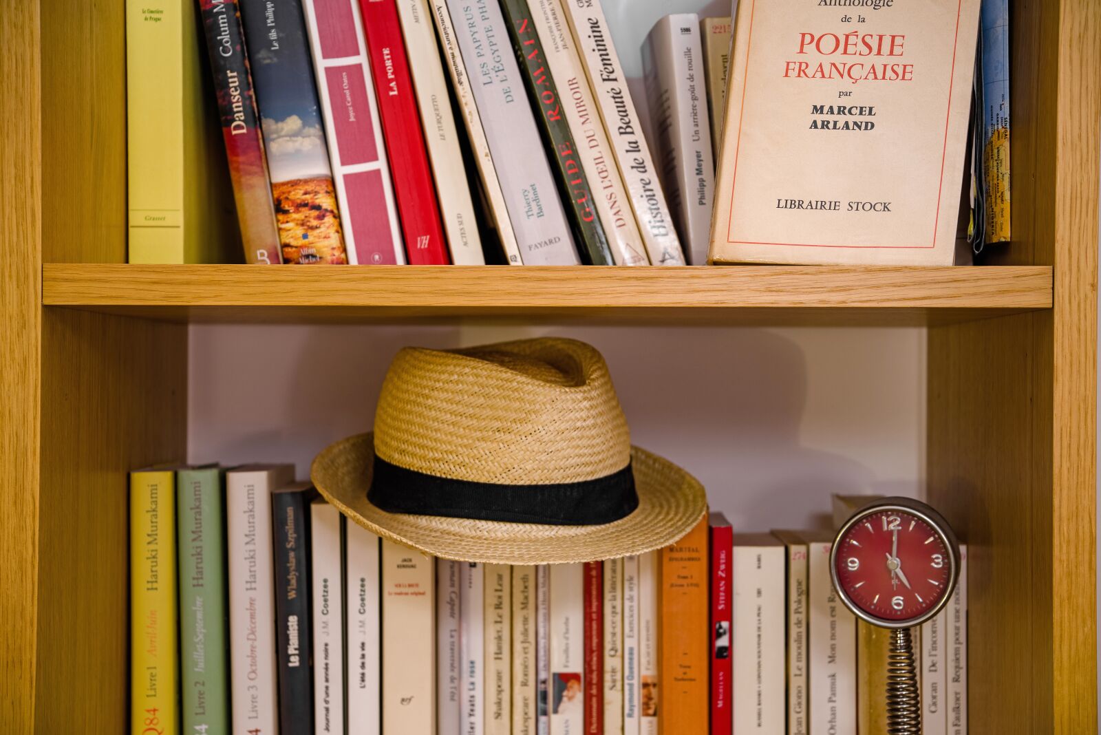 Pentax K-1 Mark II sample photo. Literature, bookcase, library photography