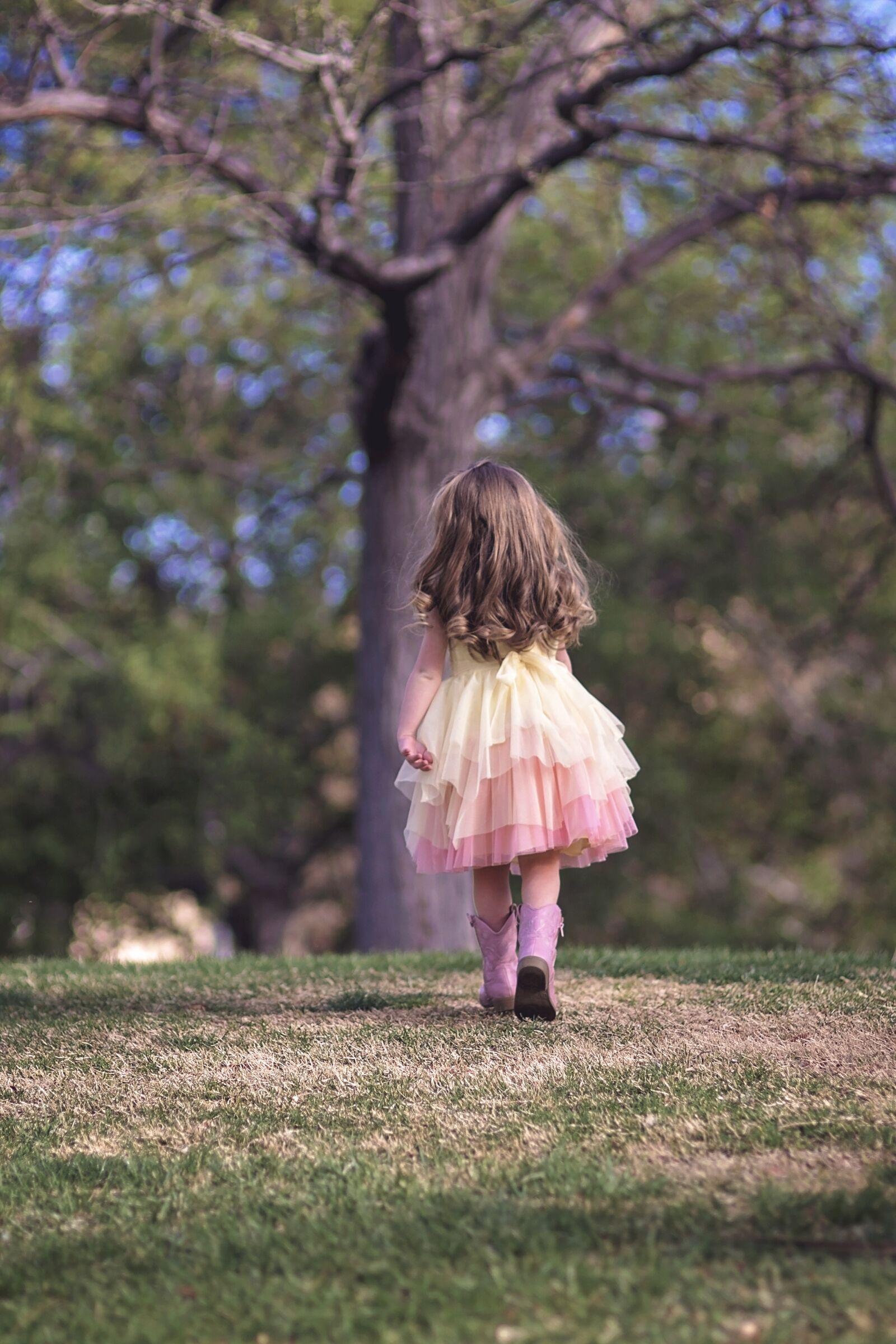 Nikon D750 sample photo. Nature, tree, outdoors photography