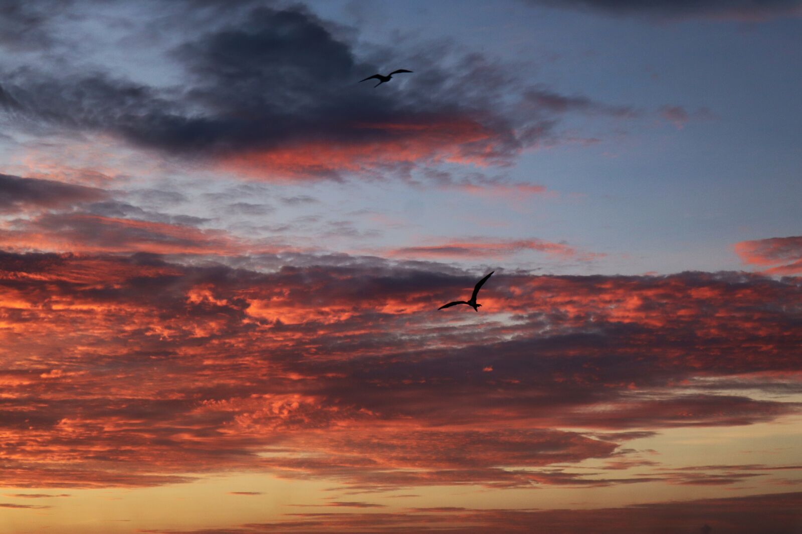 Canon EF-M 15-45mm F3.5-6.3 IS STM sample photo. Sunrise, sun, sunset photography