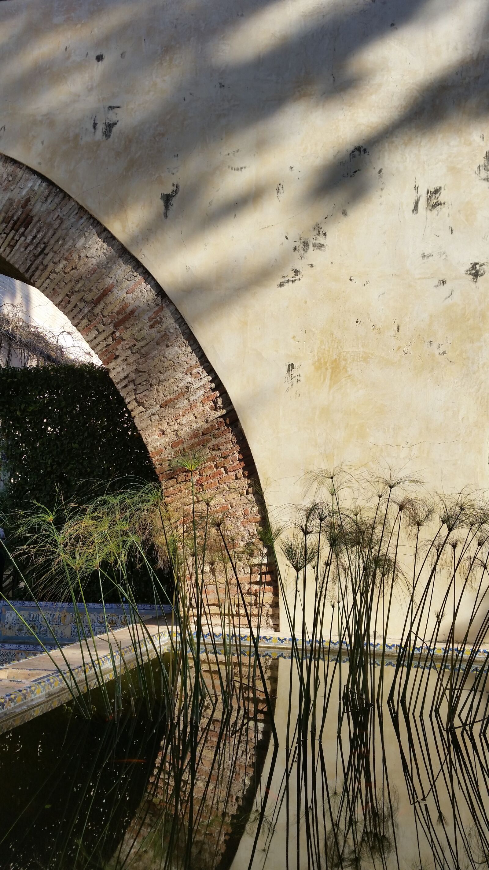 Samsung Galaxy S5 sample photo. Reflections, the alcazar, seville photography