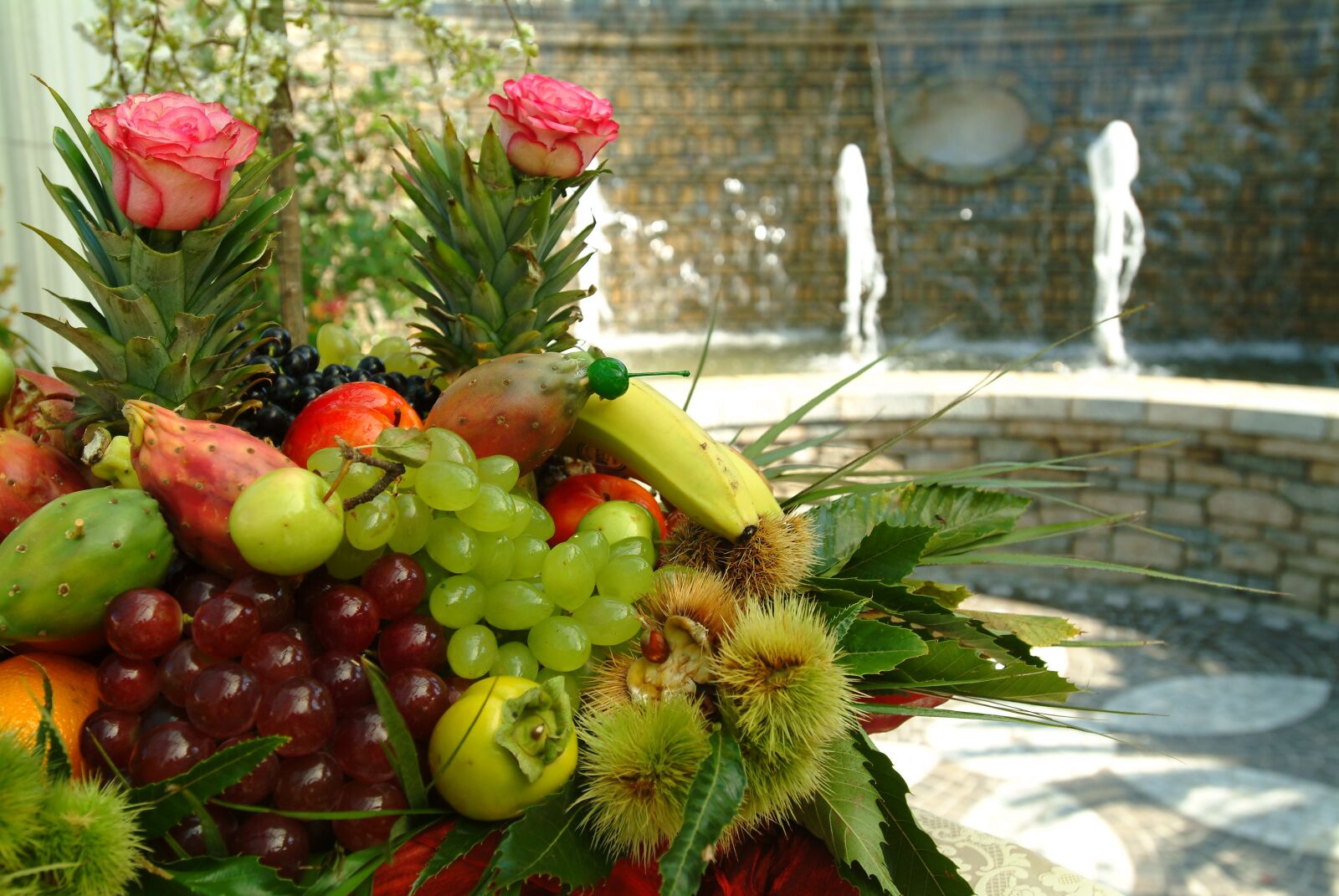 Fujifilm FinePix S2 Pro sample photo. Fruit, food, garden photography