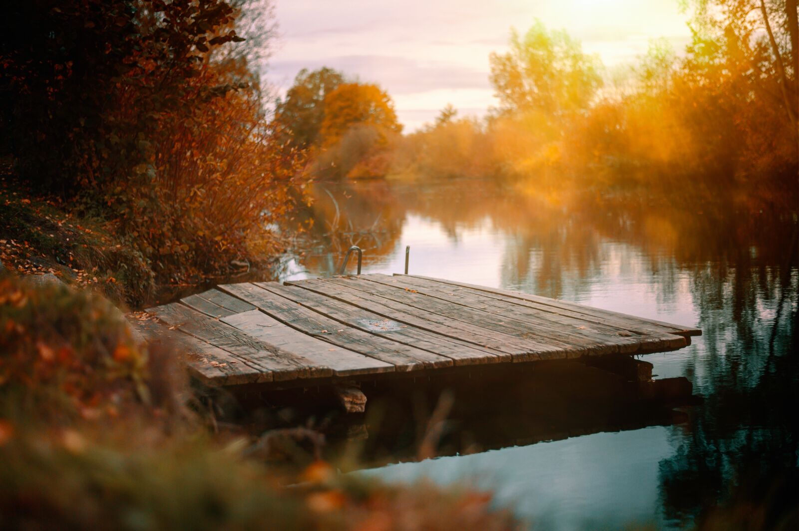 Nikon Z6 sample photo. Lake, boardwalk, nature photography