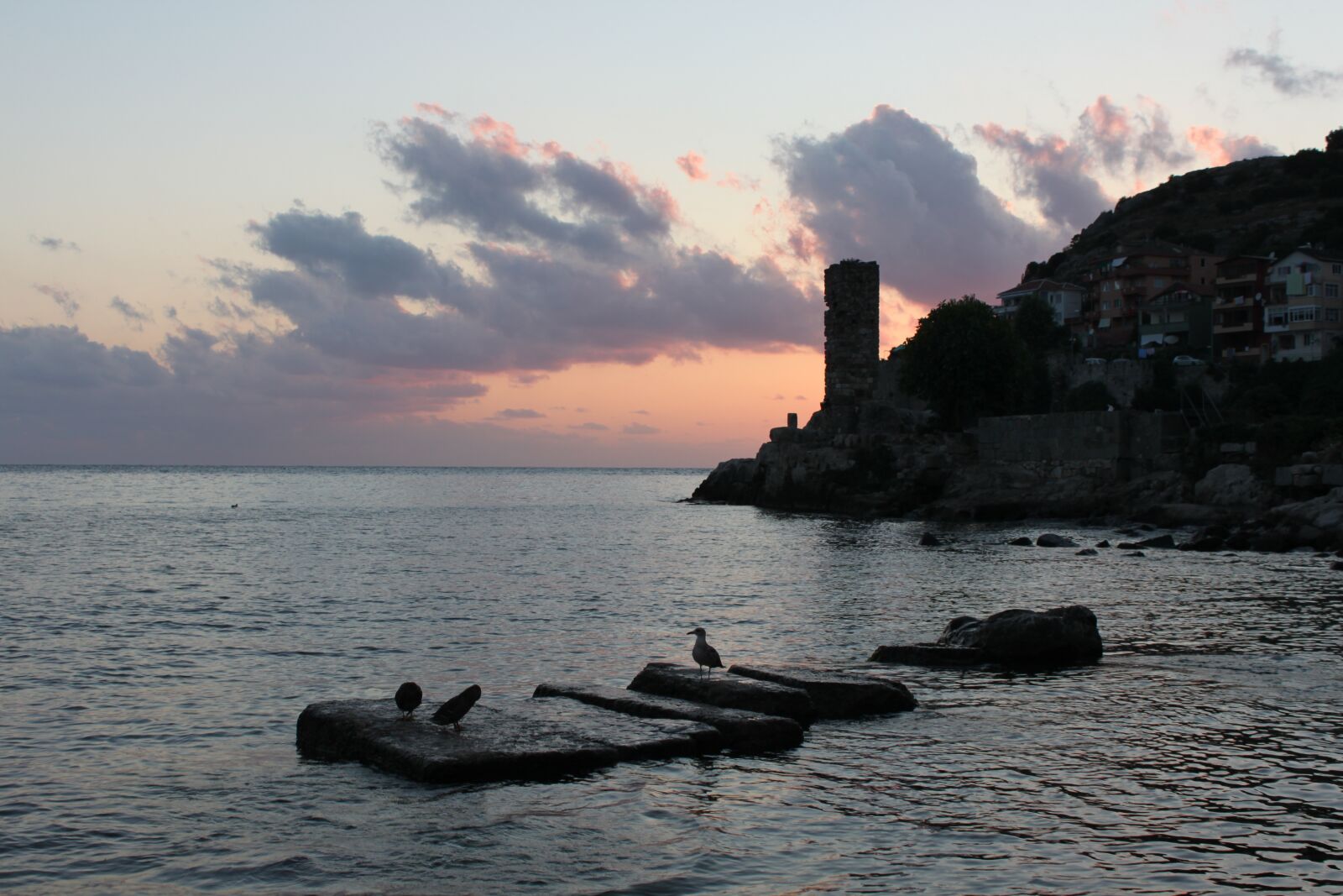 Canon EOS 500D (EOS Rebel T1i / EOS Kiss X3) sample photo. Marine, sunset, nature photography