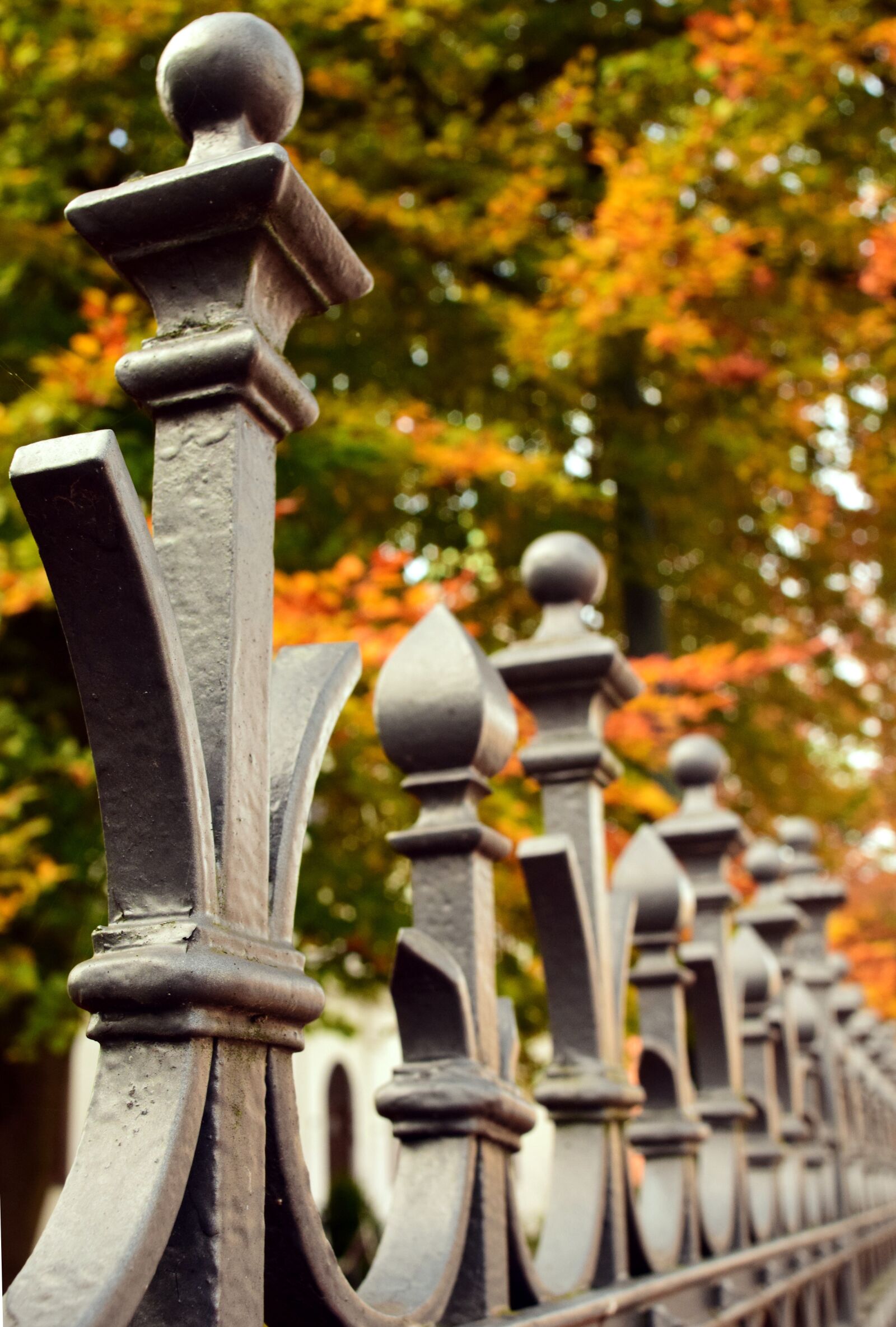 Nikon D3300 sample photo. Fence, autumn, nature photography
